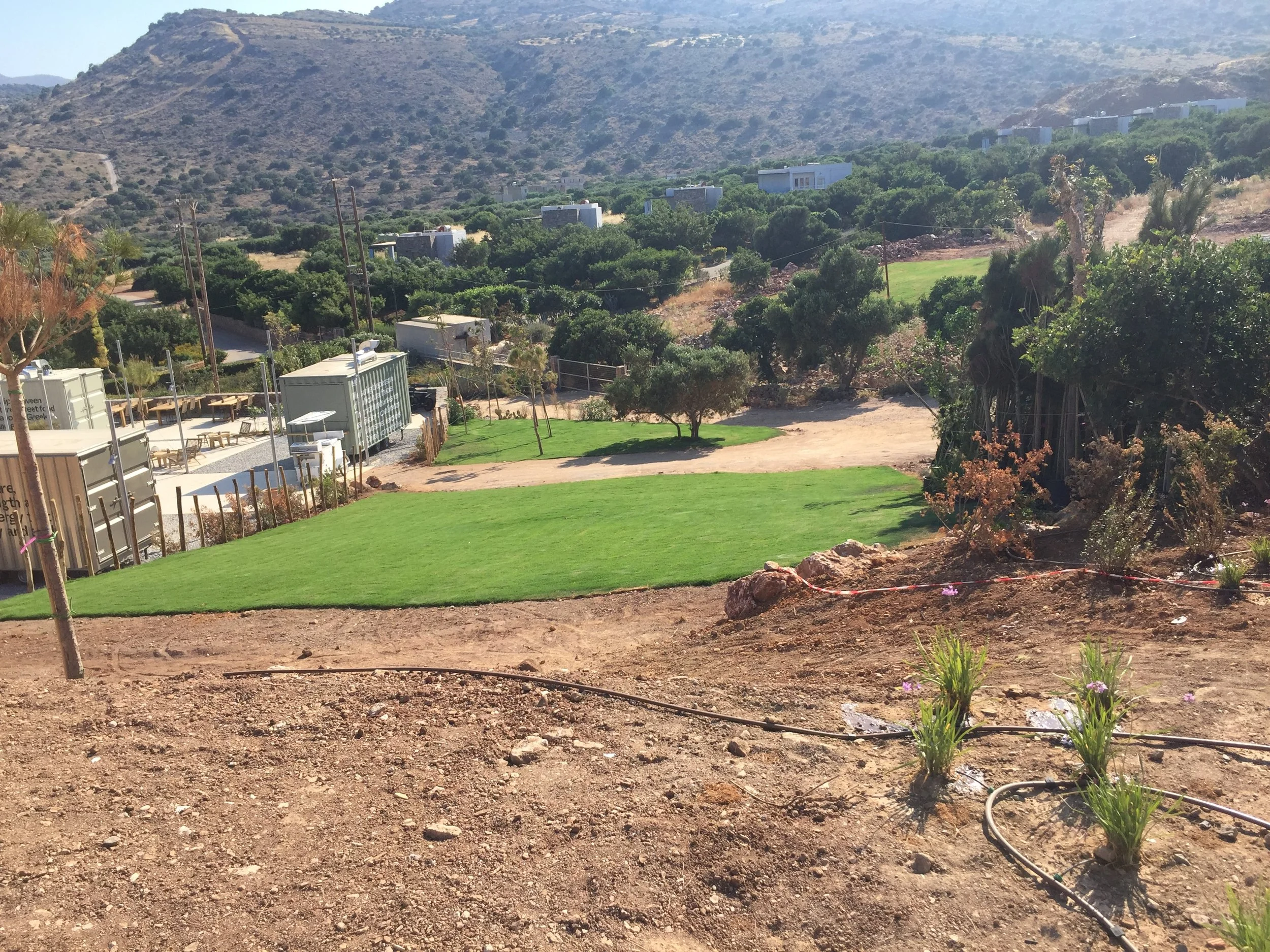In the foreground, there is freshly tilled soil and small plants, with a watering hose visible. In the middle ground, there is a patch of artificial green grass and trees. The background features a hilly landscape with sparse vegetation, several whit