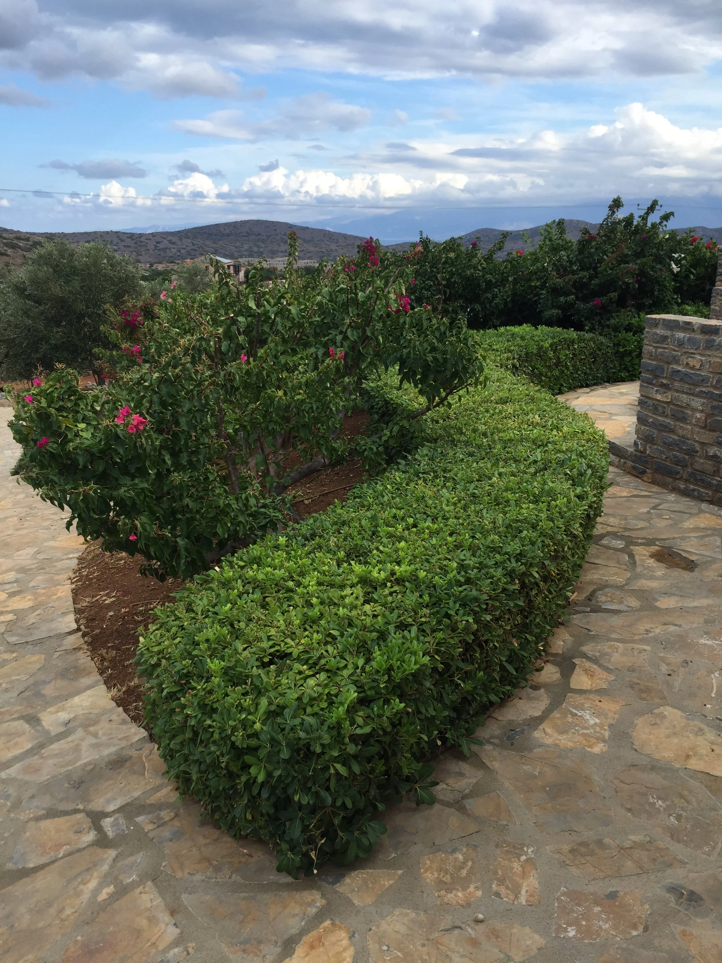 A stone pathway bordered by trimmed green bushes and flowering plants leads to a stone wall, with rolling hills and a partly cloudy sky in the background.