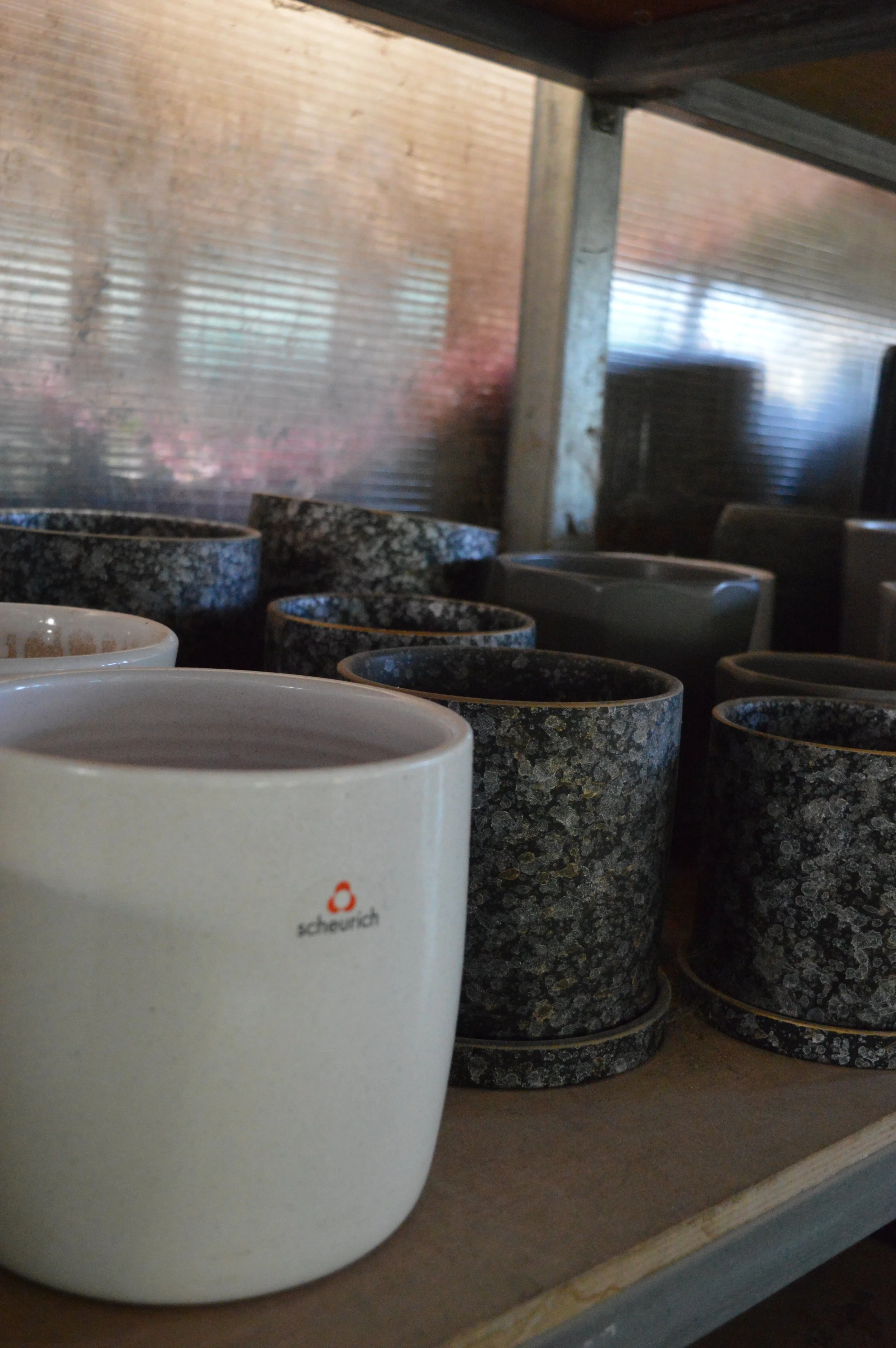 A white mug with the 'Schwarz' logo in front of a shelf filled with various patterned coffee mugs, some black and white speckled, in a cozy setting.