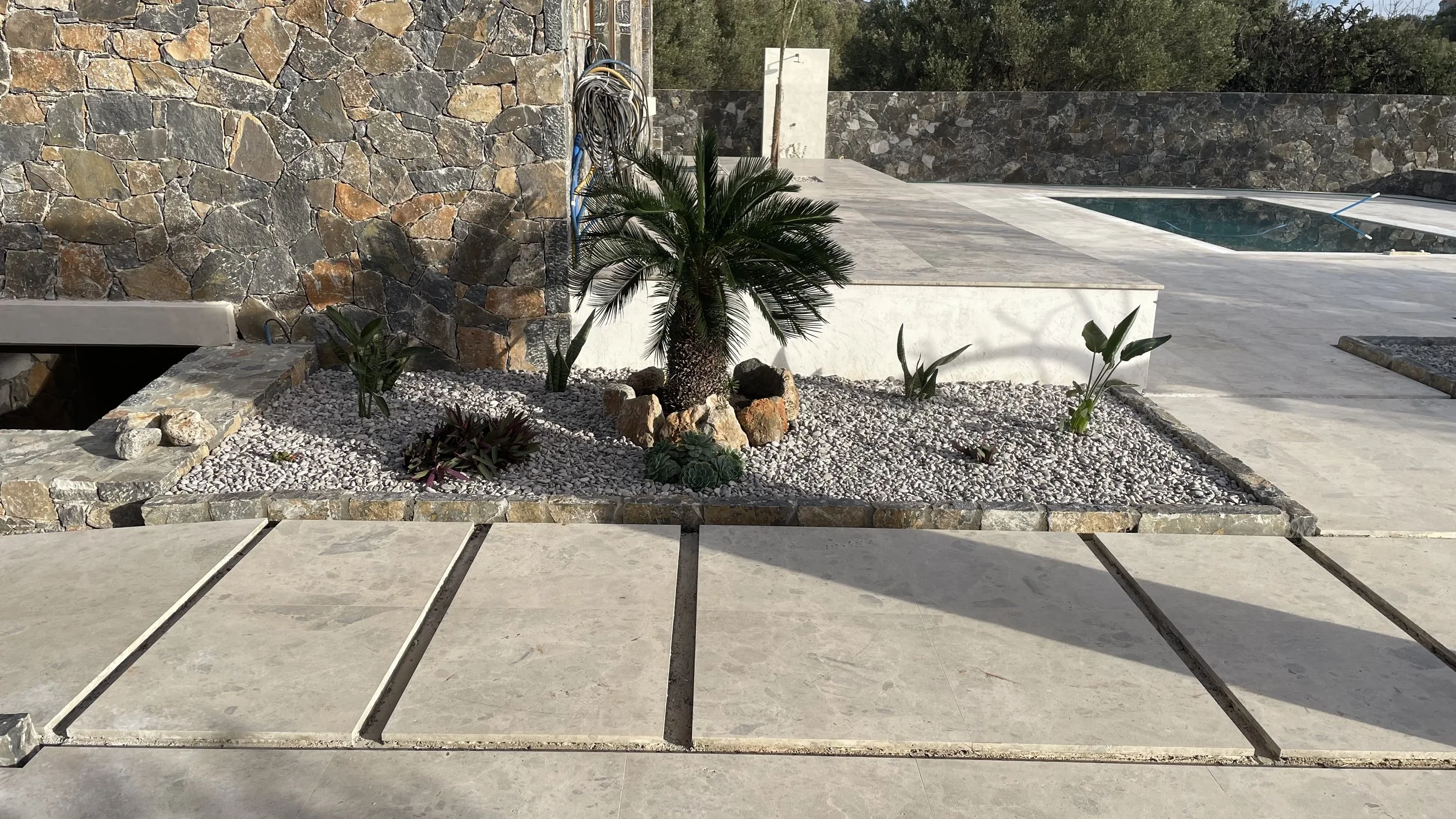 Exterior view of a modern outdoor space featuring a small garden with a palm tree and succulents, a stone wall, a swimming pool, and a marble deck.