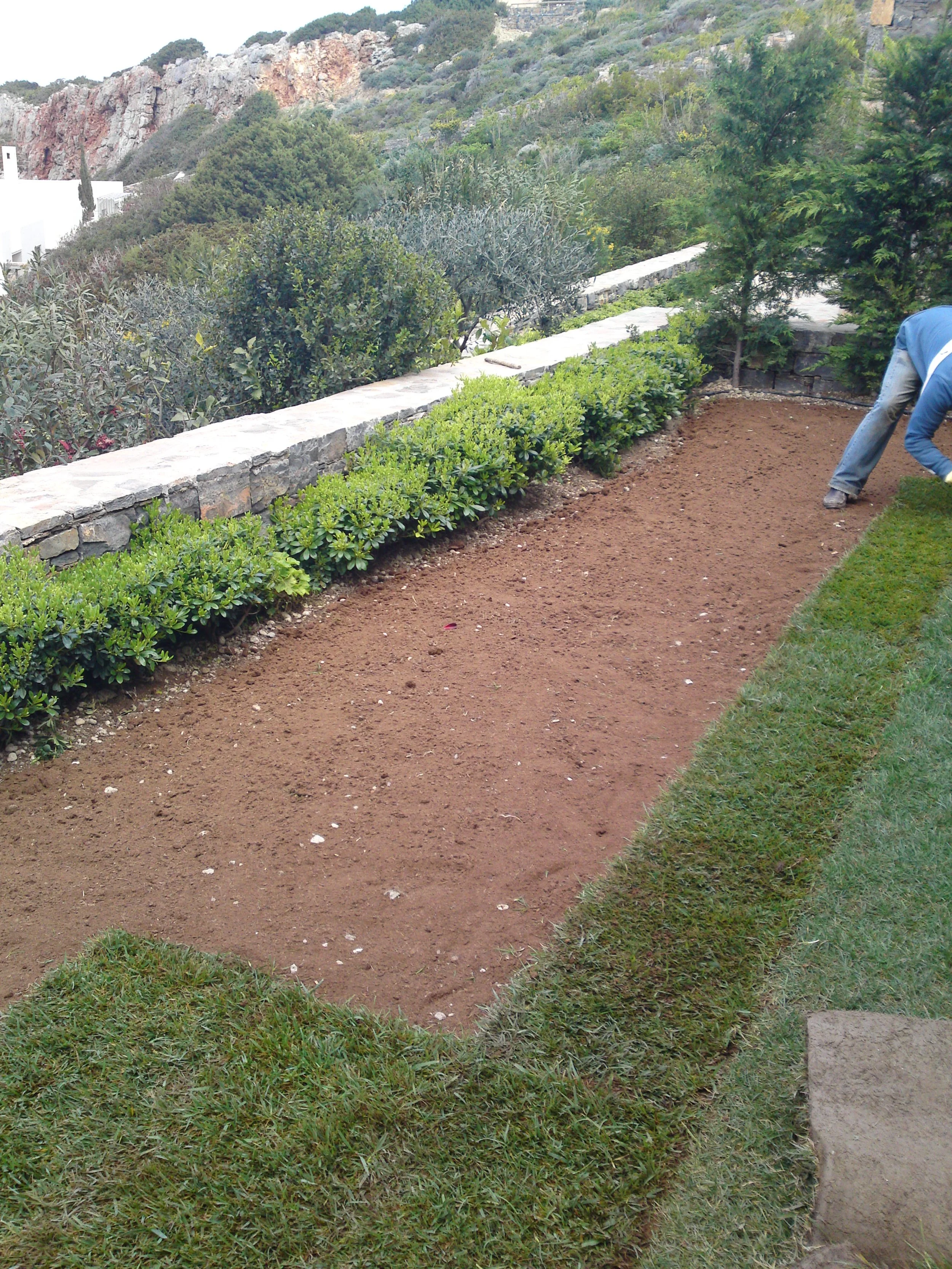 A person working on a garden bed, preparing the soil, with a low stone wall, green shrubs, and trees; mountains are visible in the background.