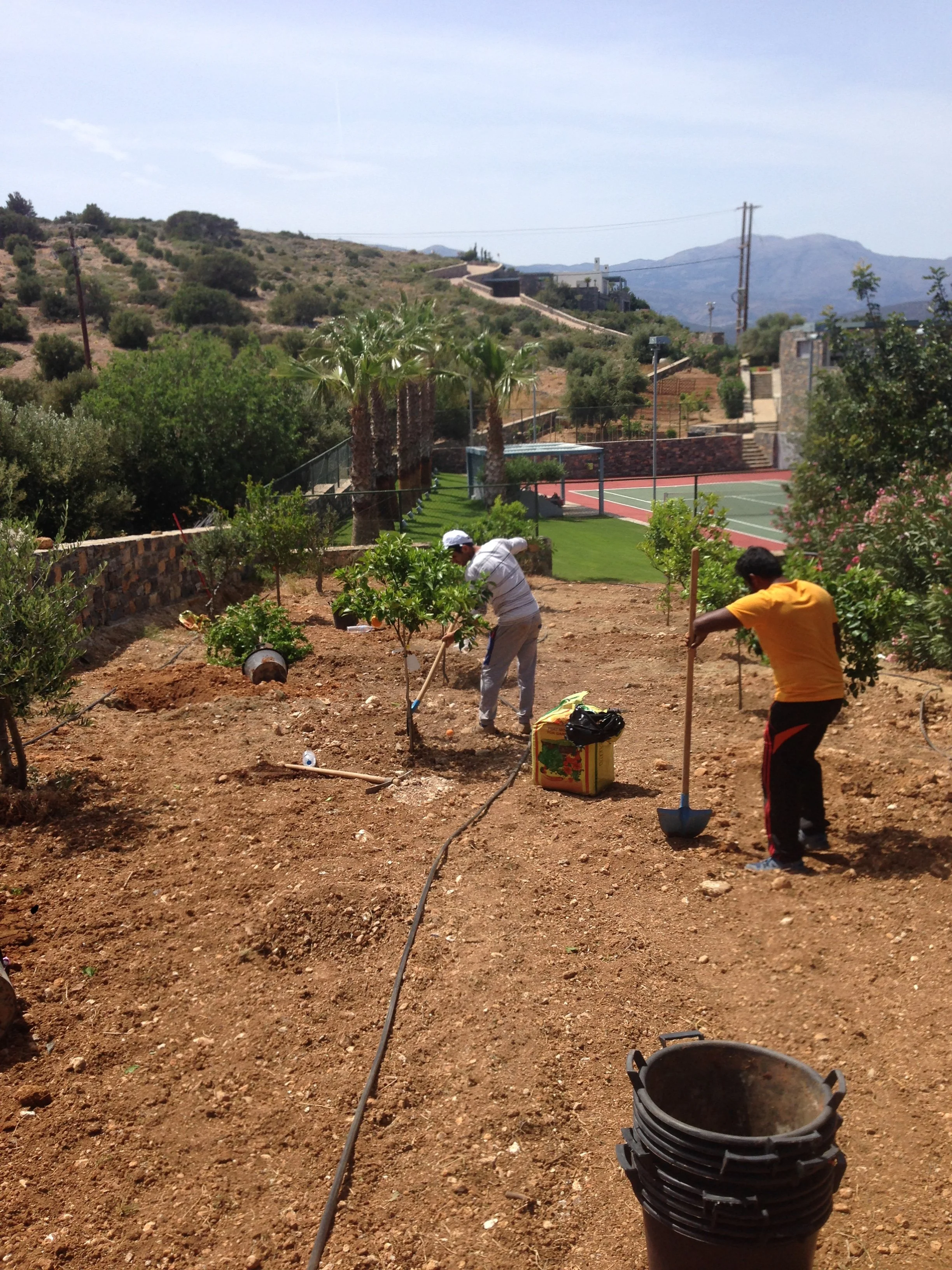 Two people working in a garden with plants, trees, and a tennis court in the background. Mountains and clear blue sky are visible.