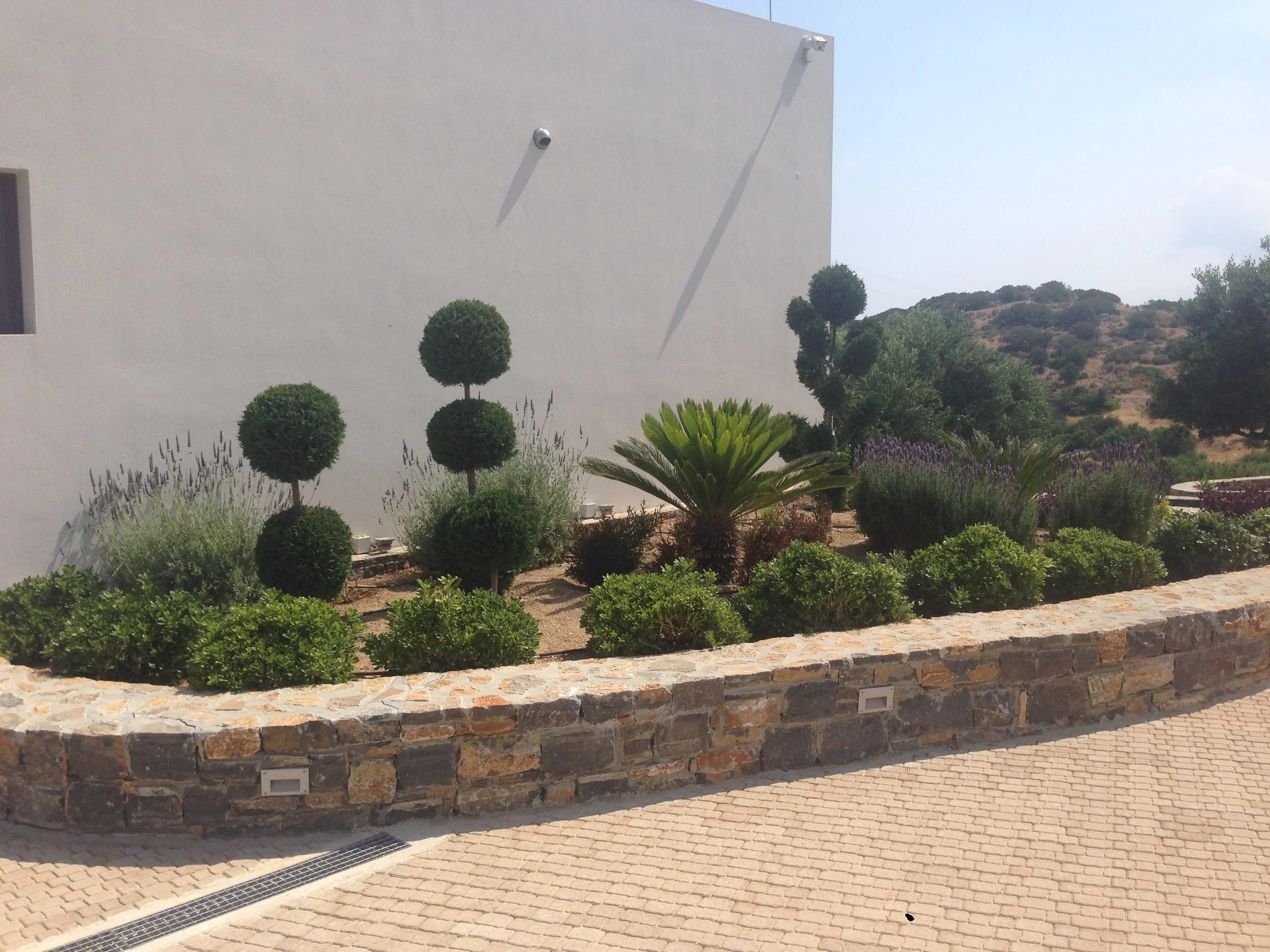 A white building outside with decorative shadow sculptures on the wall, lush green plants and bushes in front, and a stone border along the walkway.