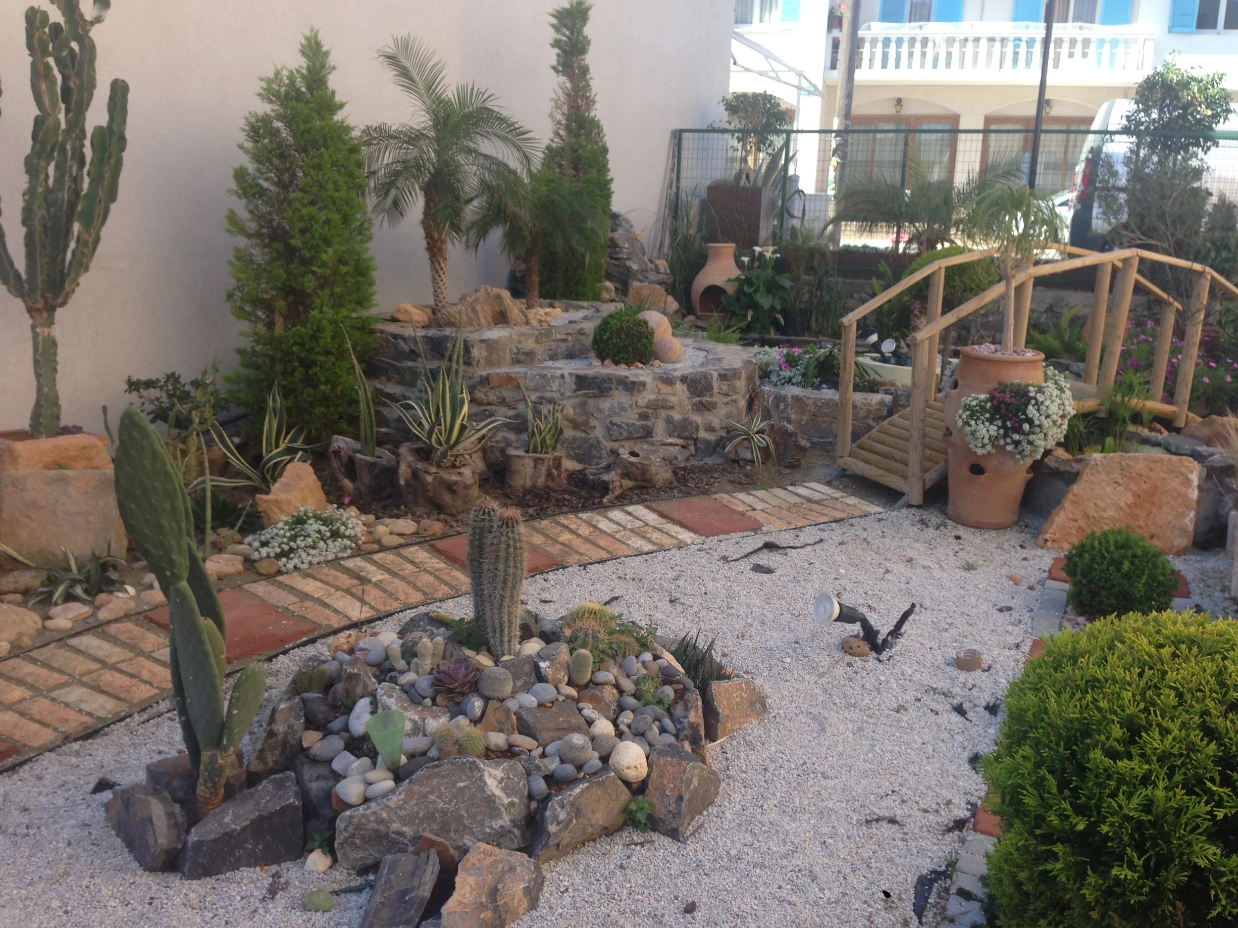 A landscaped backyard with a variety of cacti, succulents, and palm trees, featuring a stone tiered garden bed, a potted plant with flowers, and a wooden staircase.