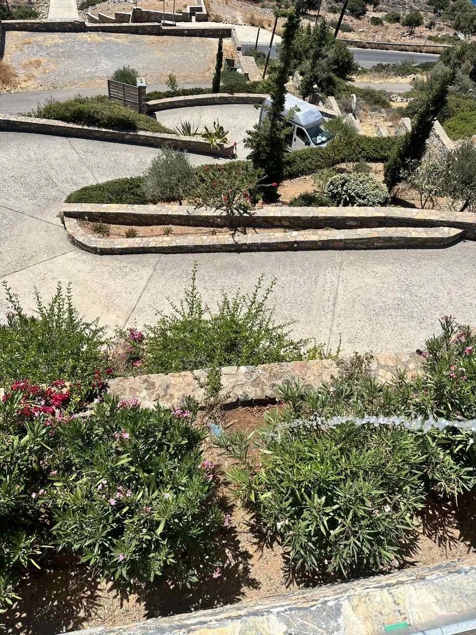 A view of a terraced landscape with garden beds separated by stone walls, green shrubs, and flowering plants. A white truck is parked on the street below, with trees and a winding road in the background.