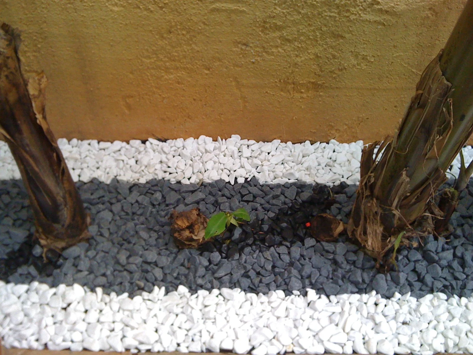 Close-up of a garden border featuring four layers of rocks in colors: dark gray, black, white, and brown, with two small green plants growing among the rocks, and two tree trunks on either side.