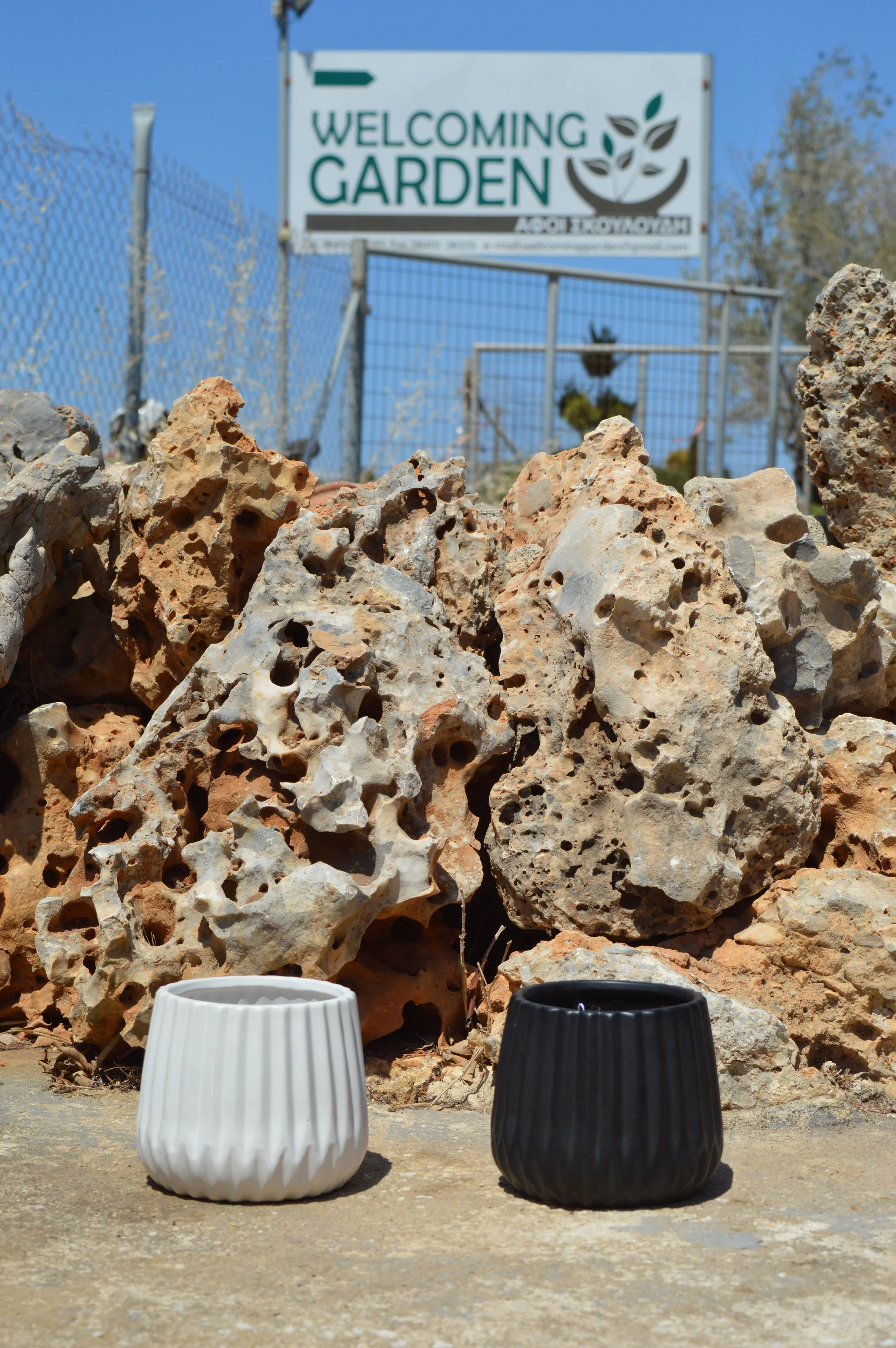 Two ceramic planters, one white and one black, placed on a concrete surface in front of a large rock formation with a sign that reads 'Welcoming Garden' behind a chain-link fence. Clear blue sky is visible in the background.