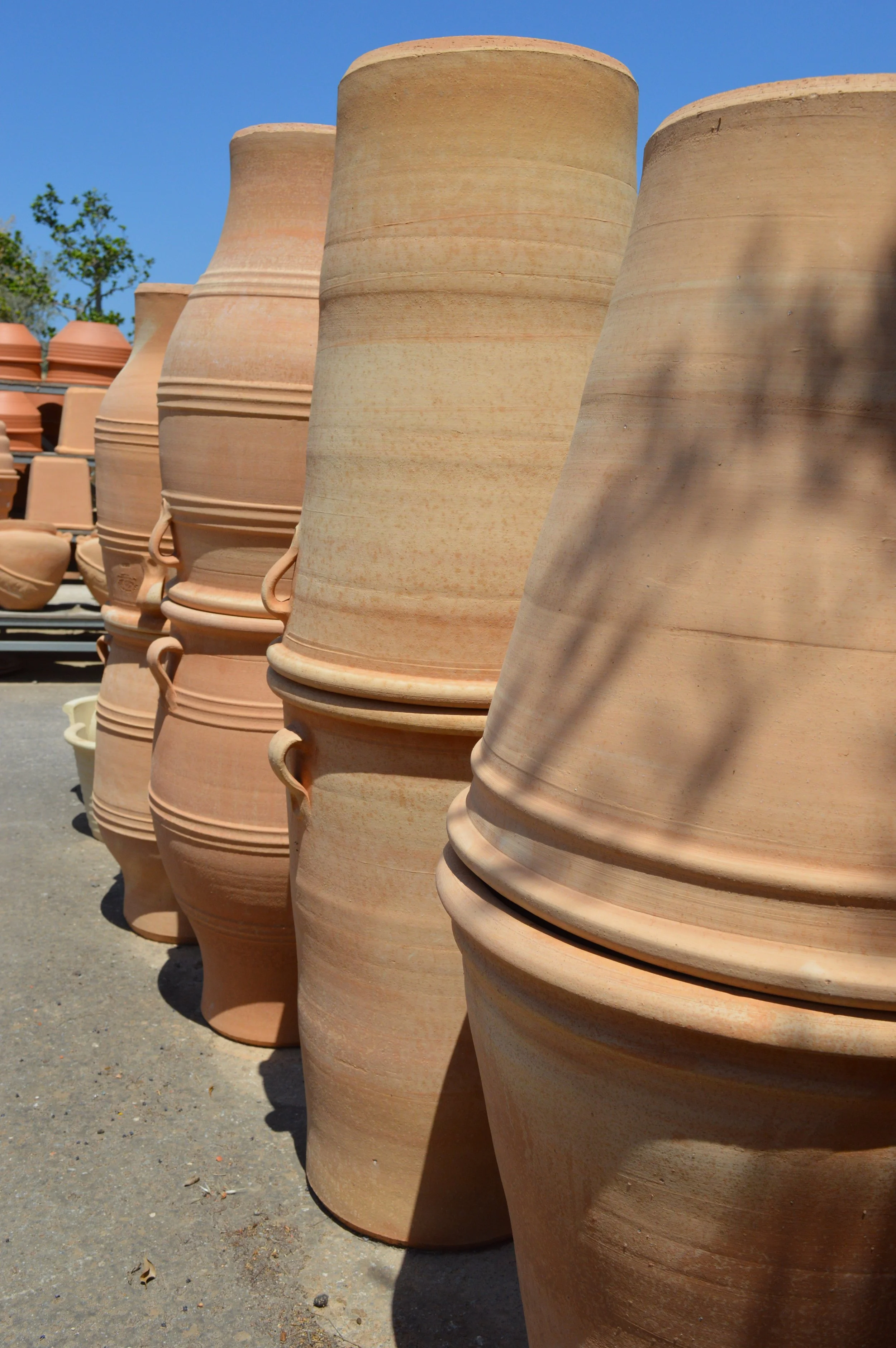 Large terracotta flower pots arranged outdoors under a clear blue sky with some trees in the background.