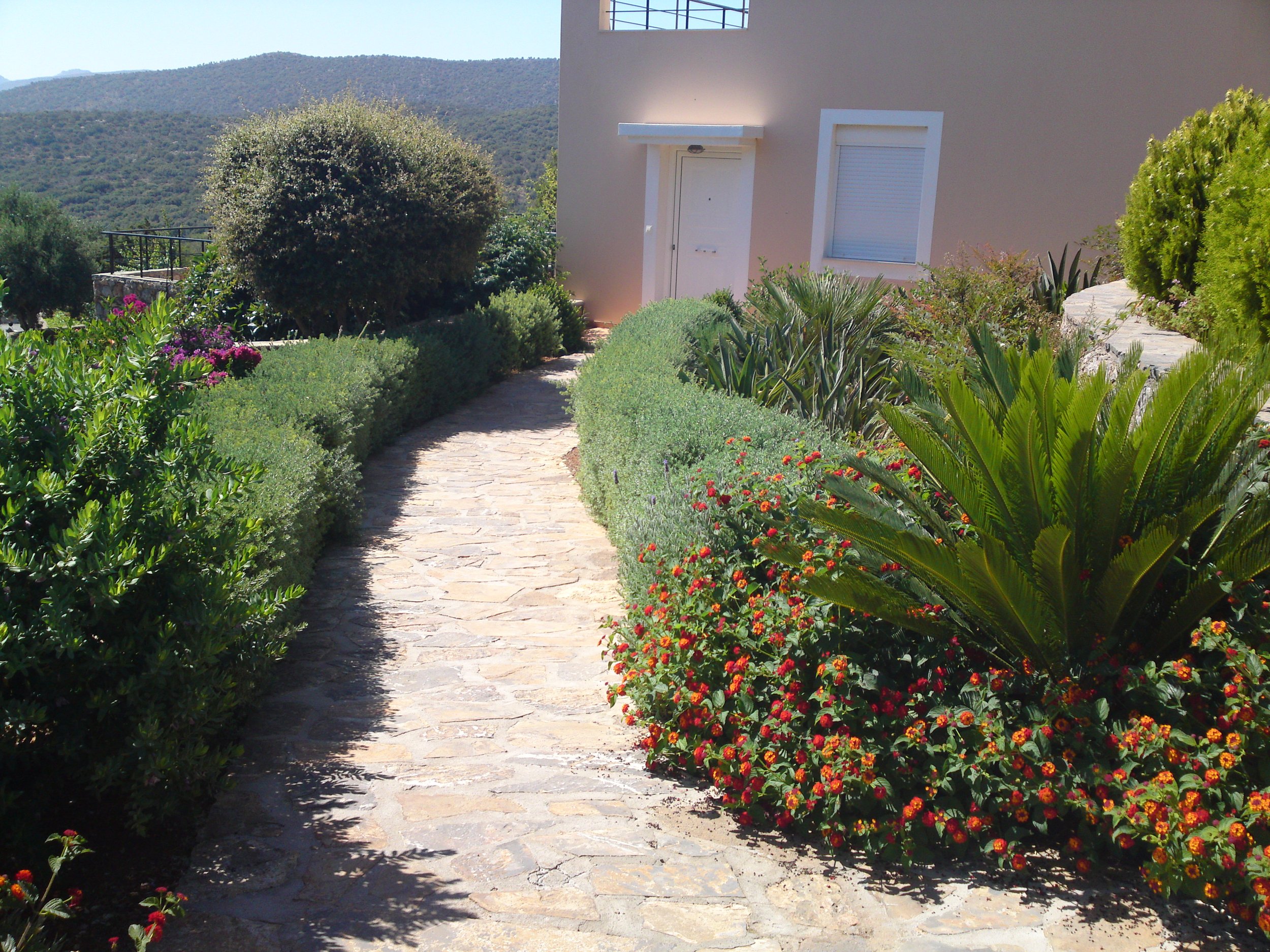 A stone pathway leading to a beige house entrance surrounded by colorful garden plants and bushes, with mountains in the background on a sunny day.