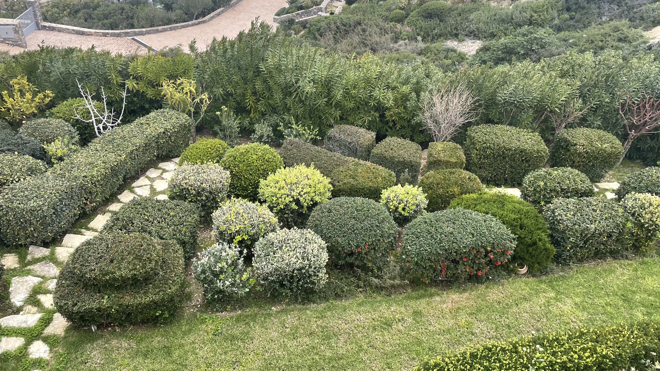 A well-maintained garden with a variety of neatly trimmed bushes and shrubs, a stone pathway, and green trees in the background.