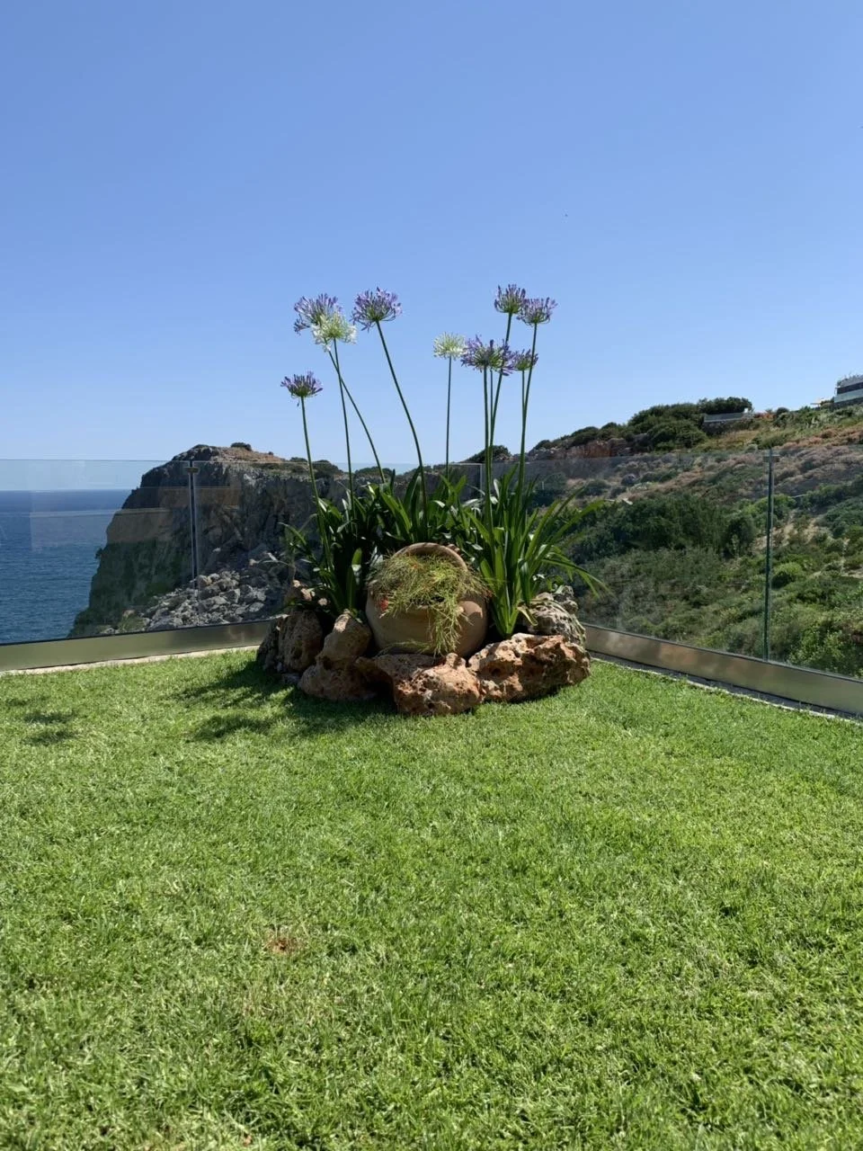 A garden with a green lawn, a large pot buried in rocks, and plants with purple and white flowers. In the background, there is a glass railing and a view of cliffs, greenery, and the ocean under a clear blue sky.
