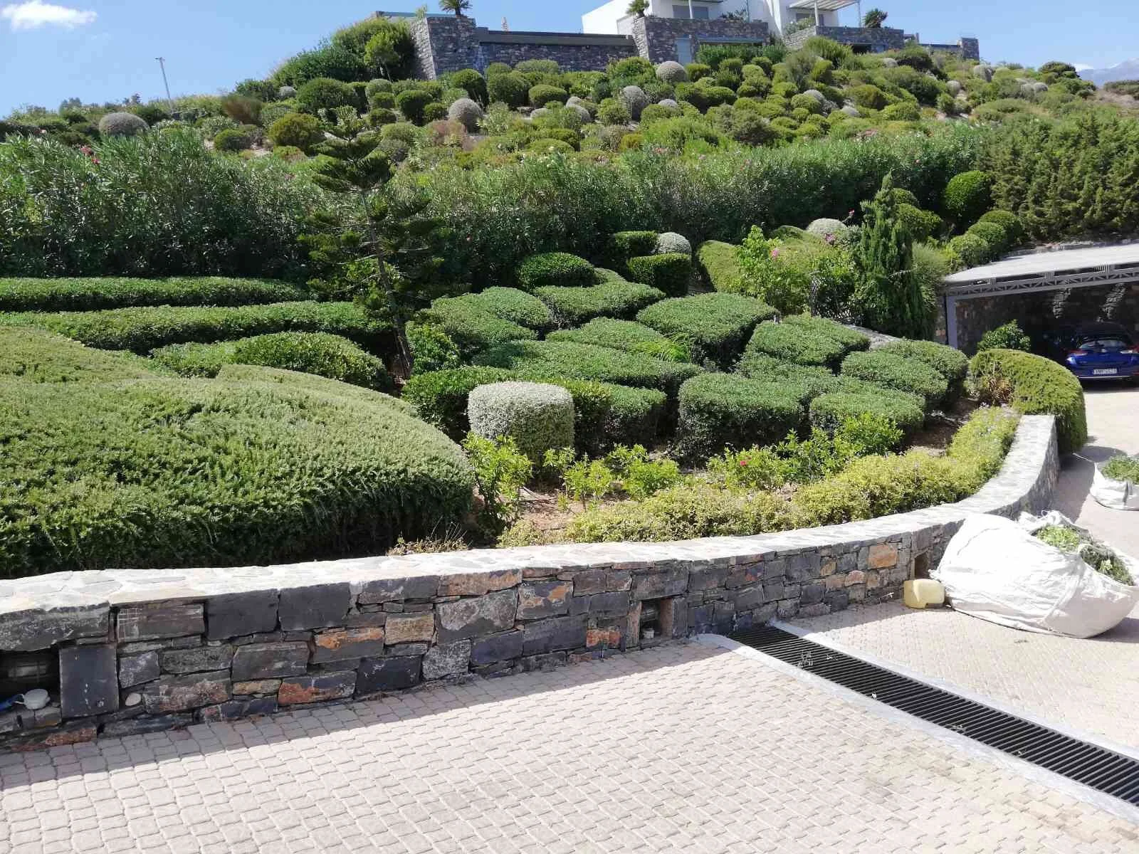 A landscaped hillside garden with neatly trimmed bushes and plants, a stone retaining wall, and a paved walkway, with modern buildings visible at the top of the hill.