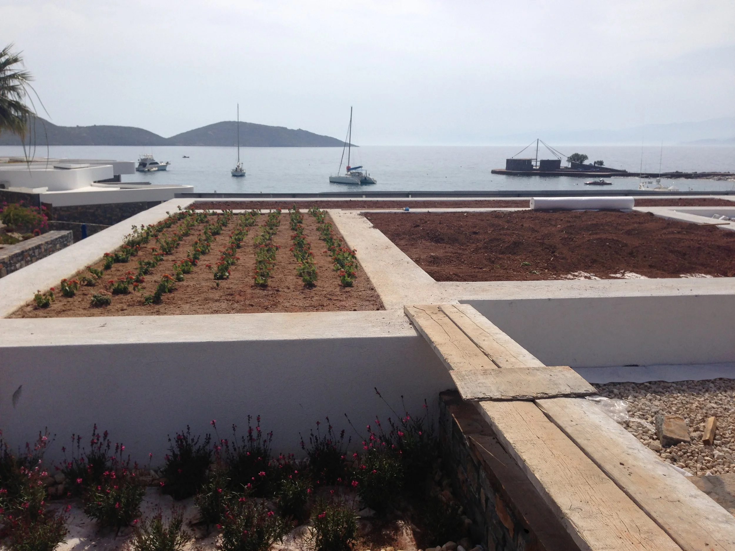 View of a waterfront with sailboats anchored near the shore, mountains in the distance, and a garden with small plants and flowers in the foreground.