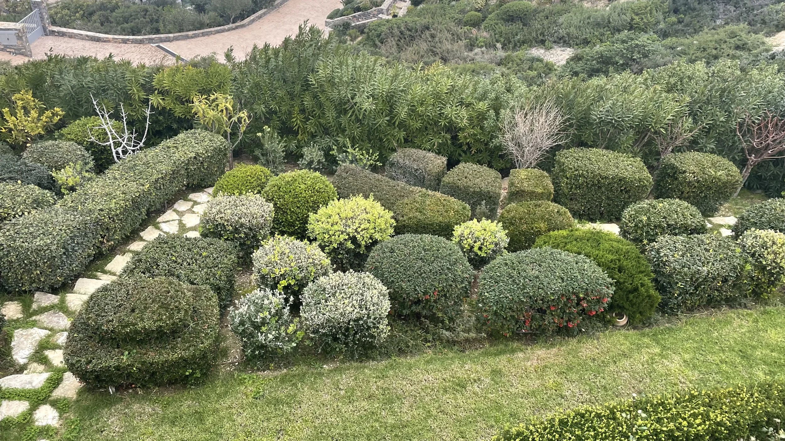 A well-maintained garden with various neatly trimmed bushes, small trees, and a stone pathway. In the background, there are large, lush green trees and a stone wall.