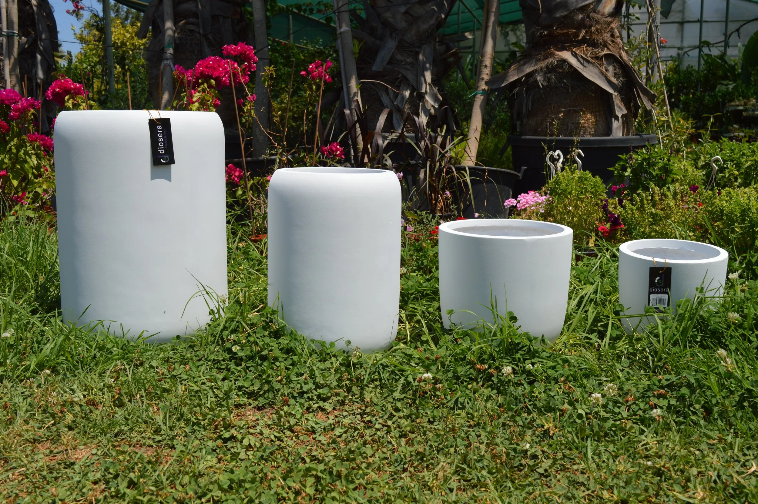 Four white cylindrical planters of varying height placed on grassy ground, with a backdrop of pink flowers, potted plants, and palm trees in an outdoor garden setting.