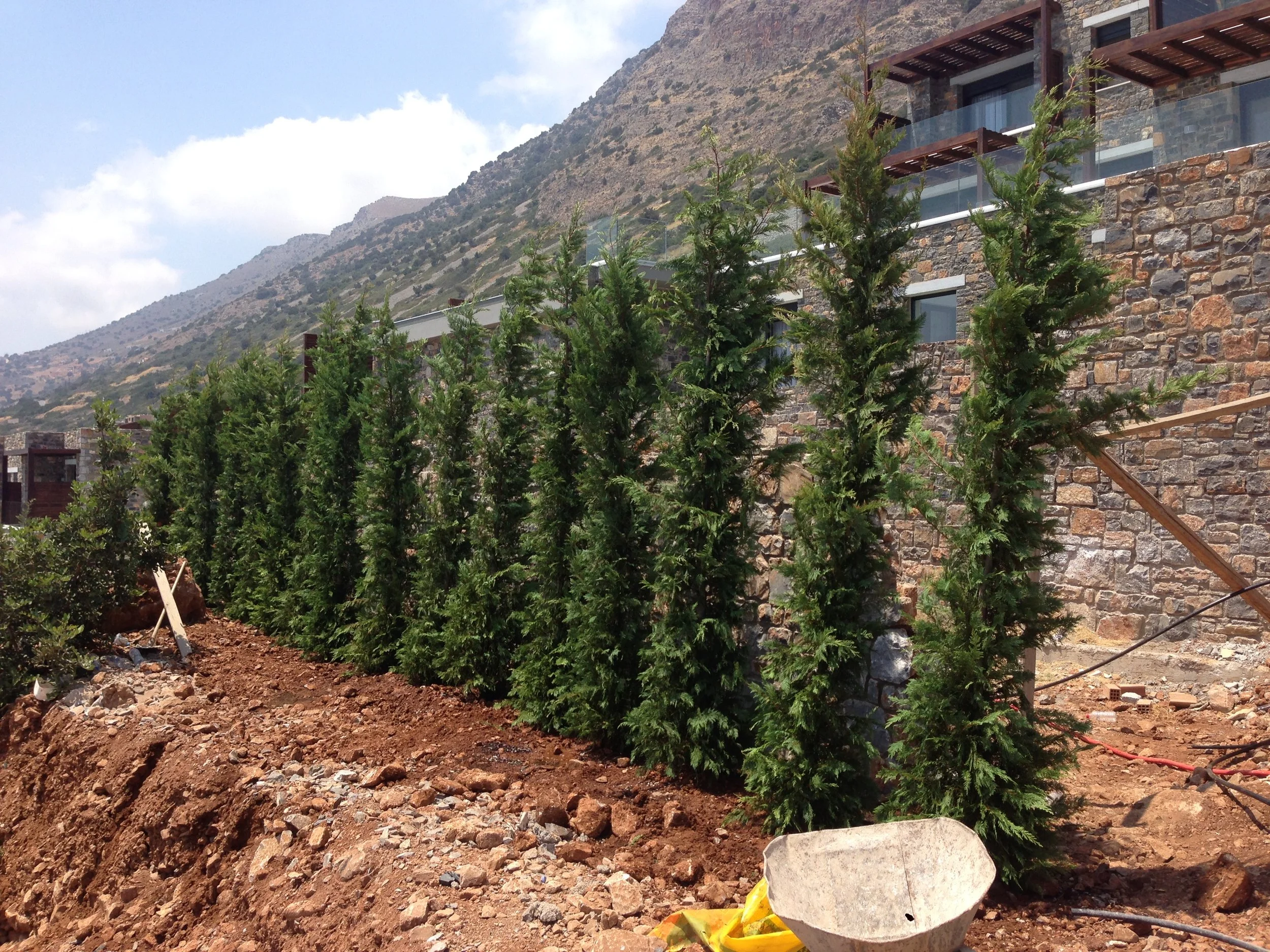 Construction site with dirt and rocks in foreground, concrete bowl with yellow tape near the bottom, evergreen trees, stone building with balconies, and mountainous landscape in the background.