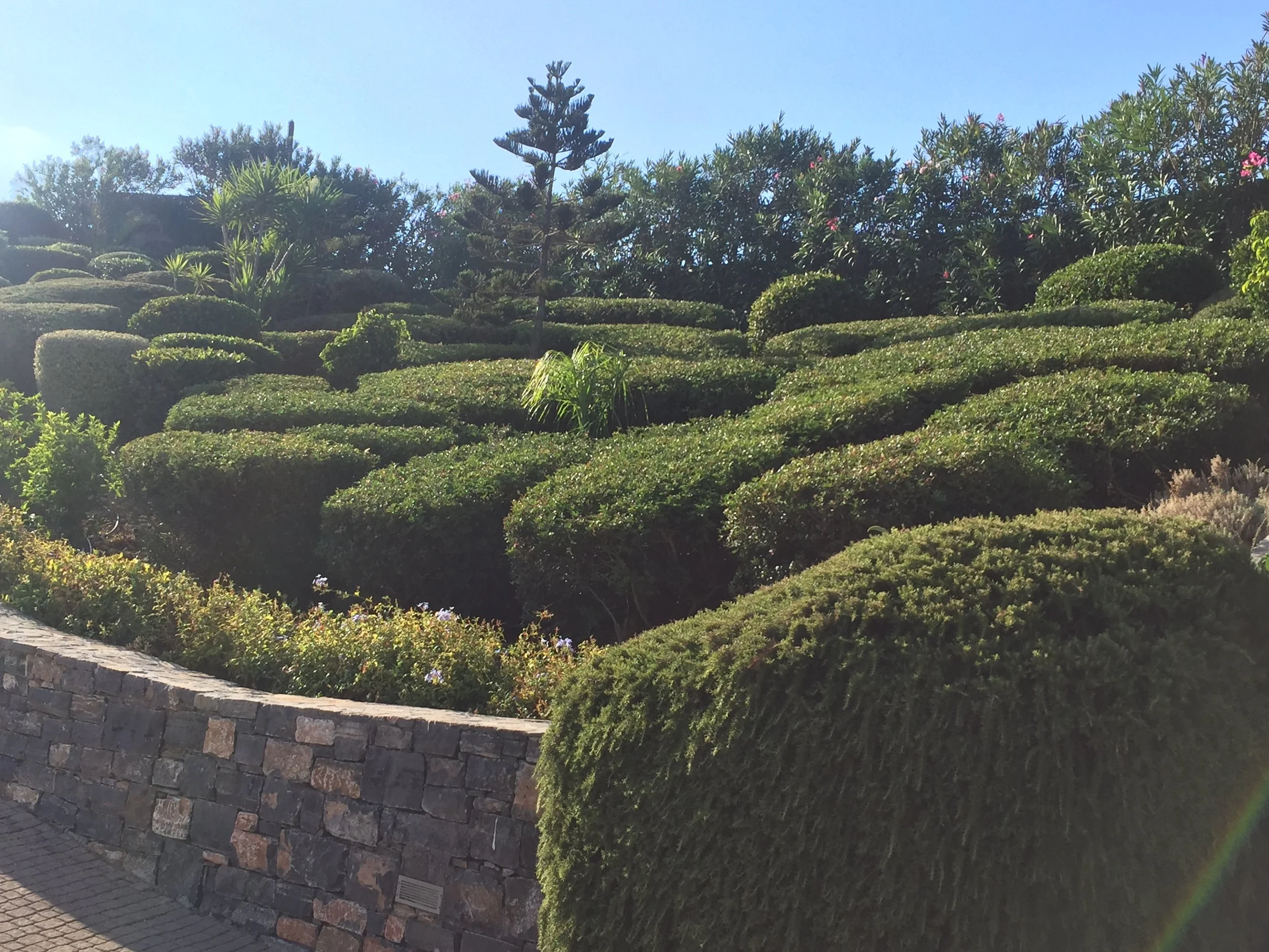 A terraced garden with various green shrubs and trees, a stone wall at the bottom, and a clear blue sky overhead.