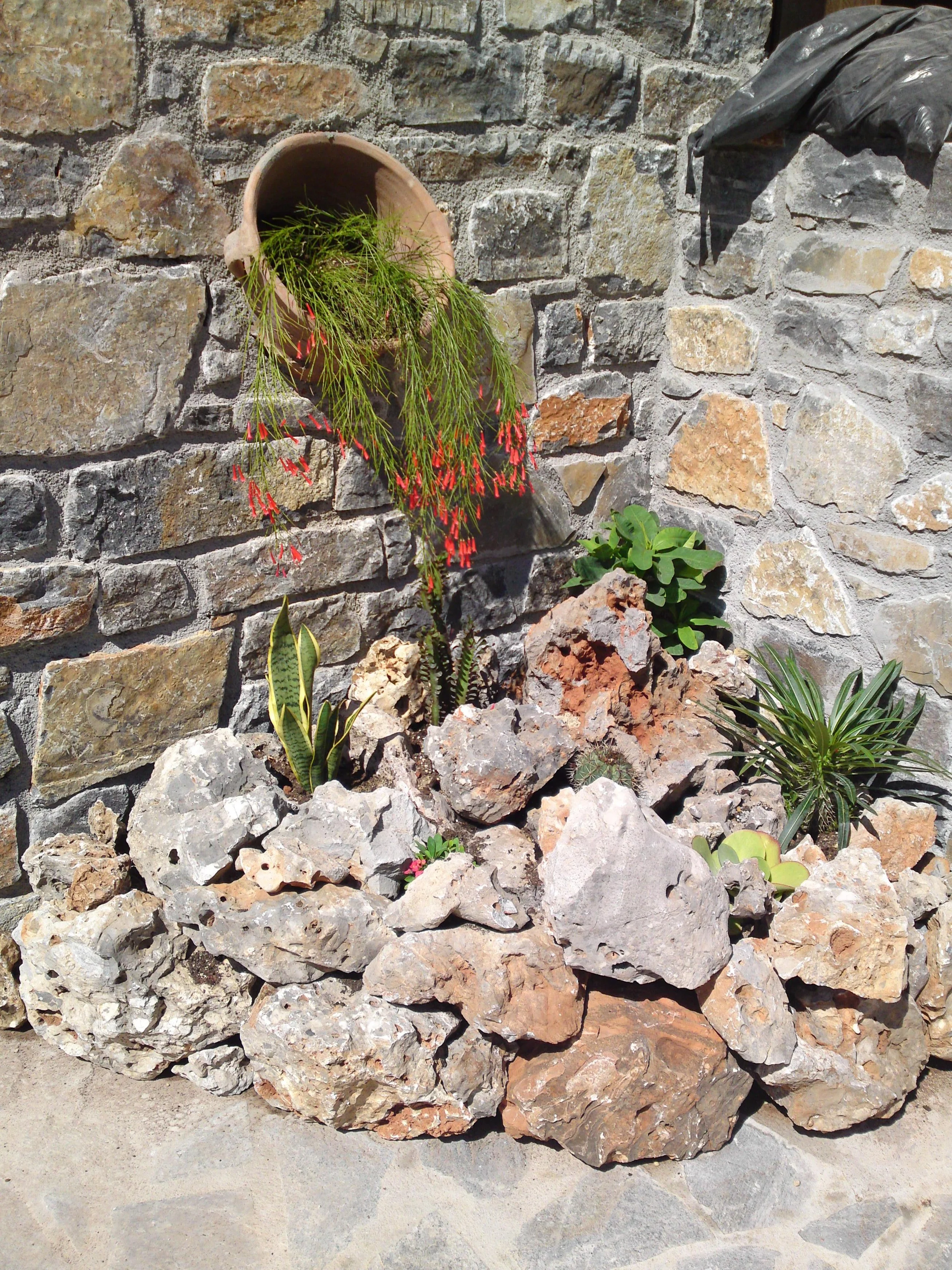 A garden arrangement with rocks at the base, a stone wall in the background, and a terracotta pot with green hanging plants mounted on the wall.