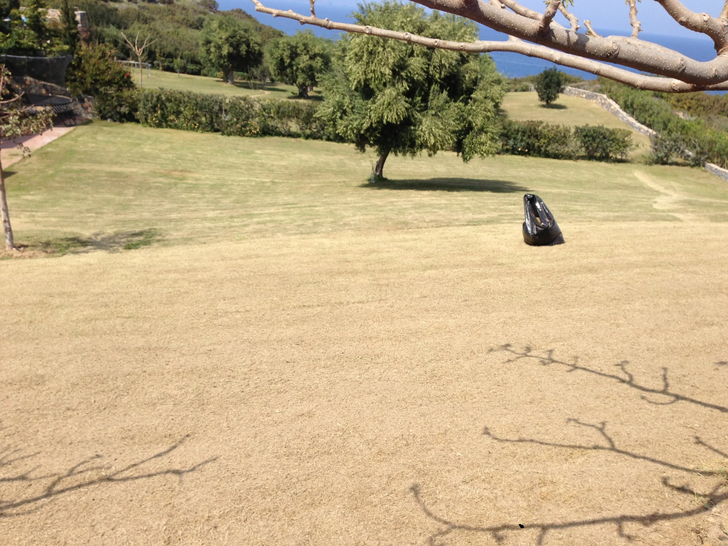 A grassy backyard with several trees, a stone wall, and a view of the ocean in the background. There is a black bag and some outdoor furniture under the trees.