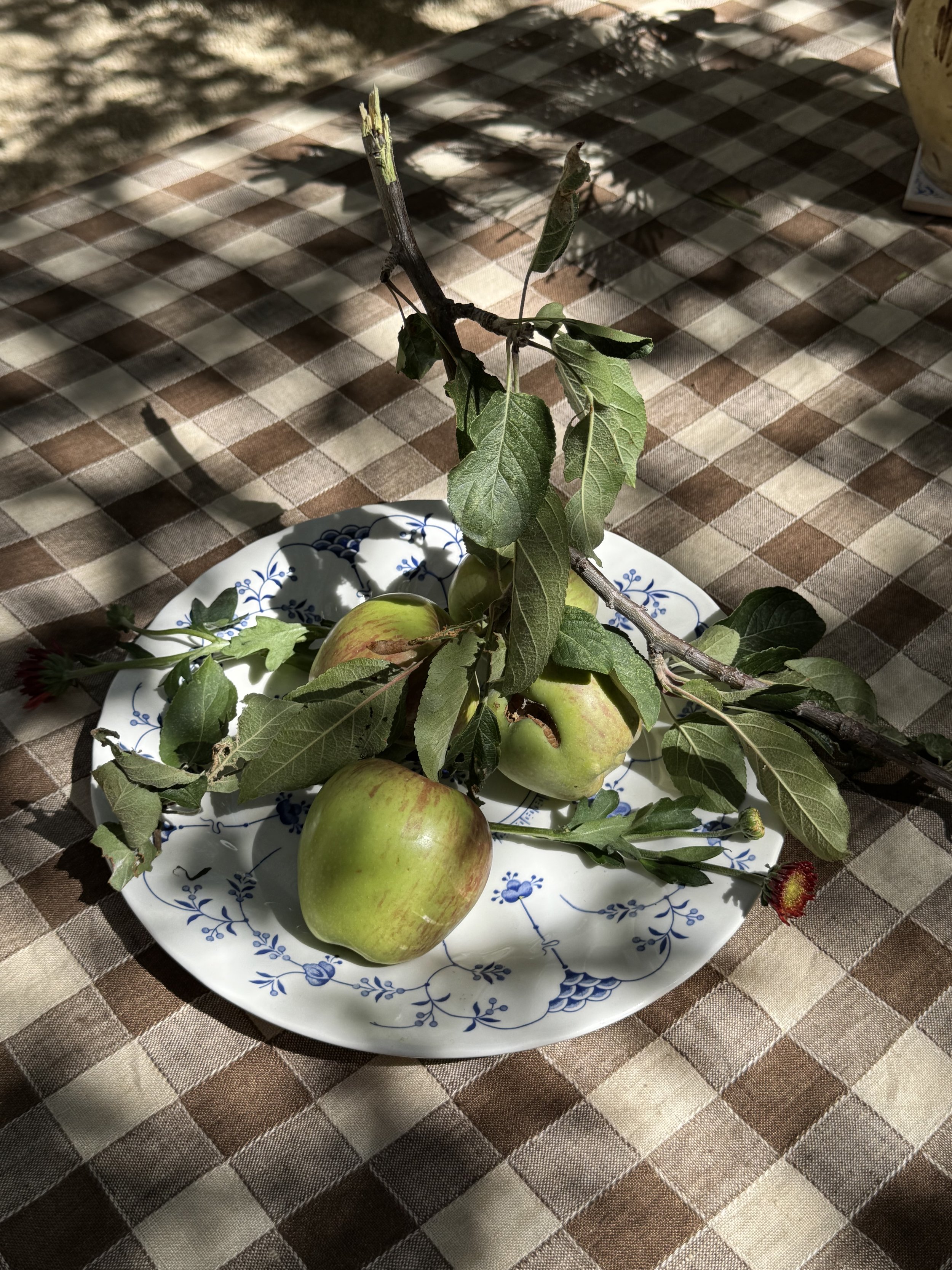 IMG_5808.jpeg