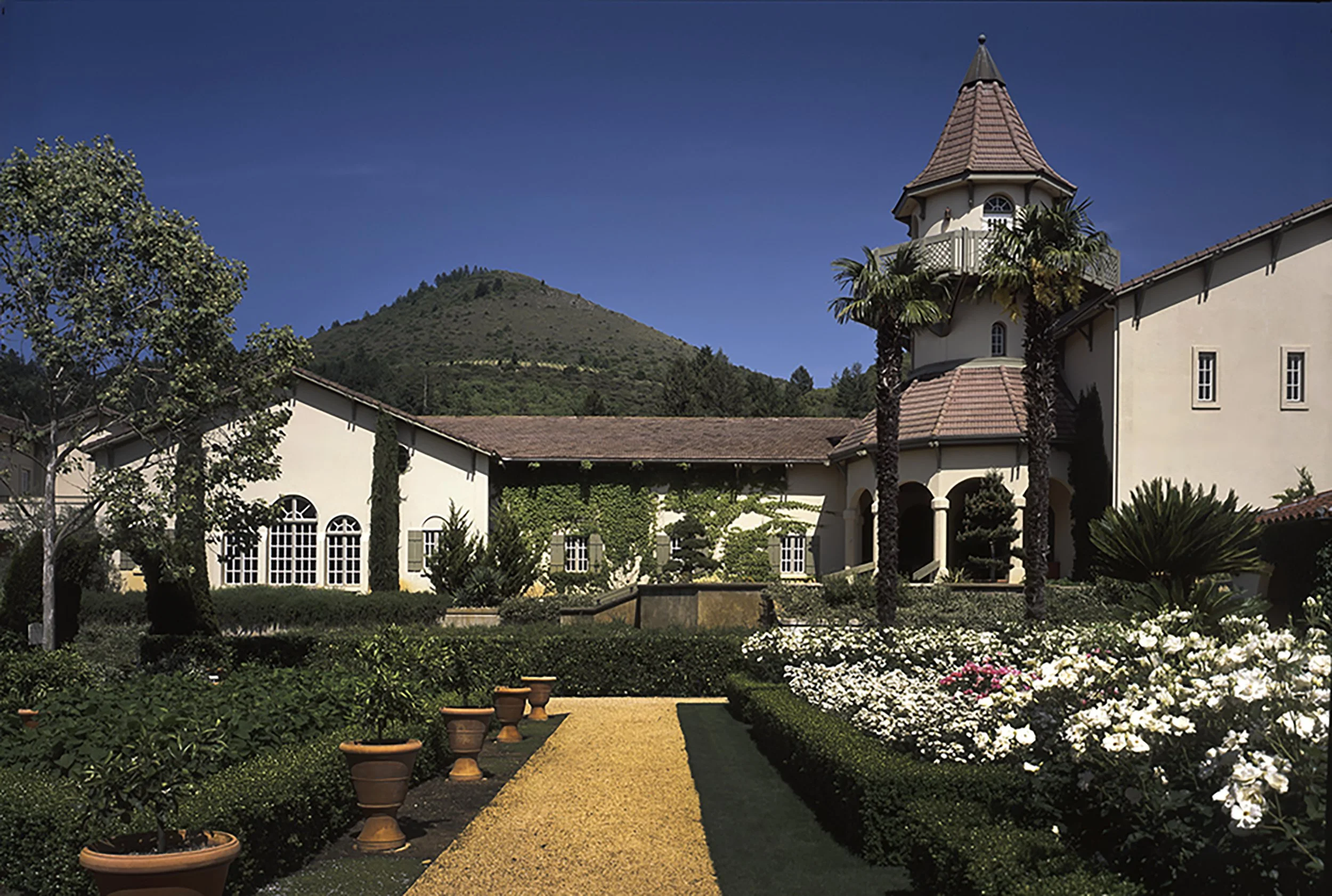 sonoma009 1.jpg