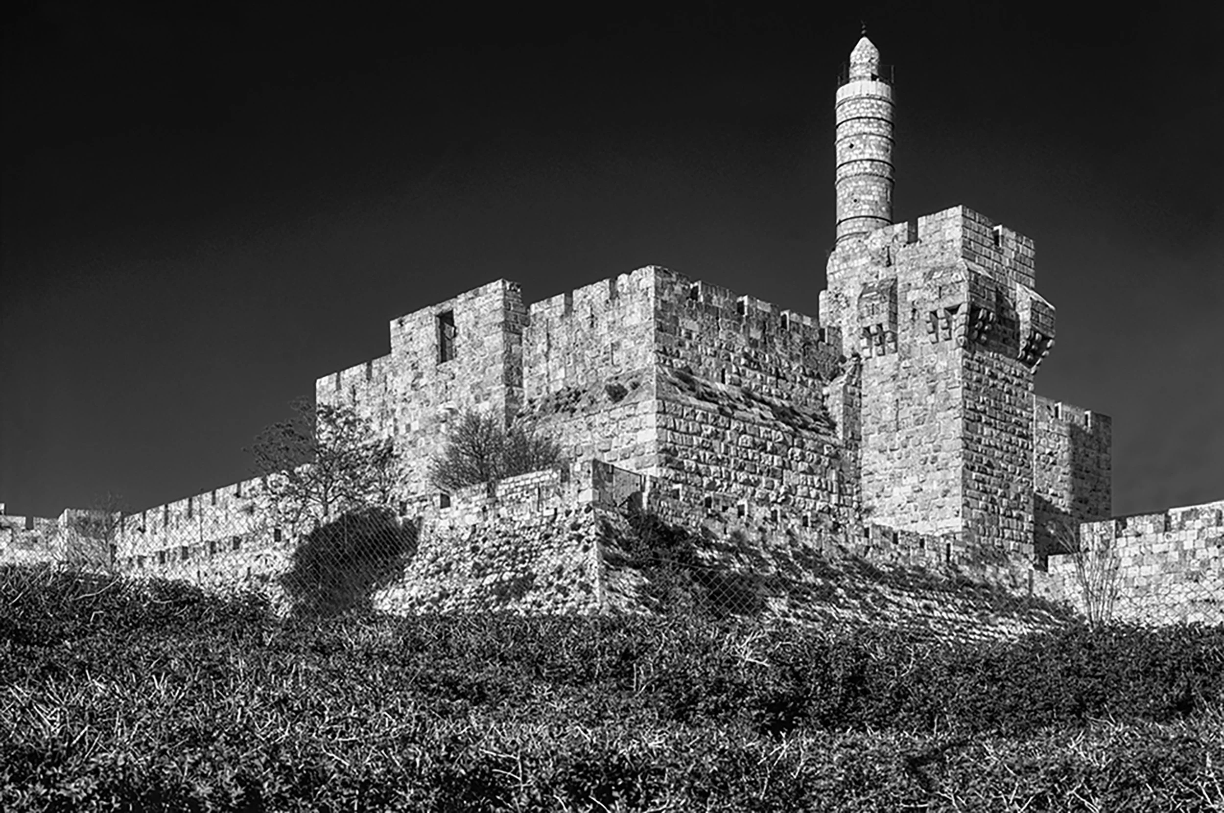 JER_C065 1.JPG