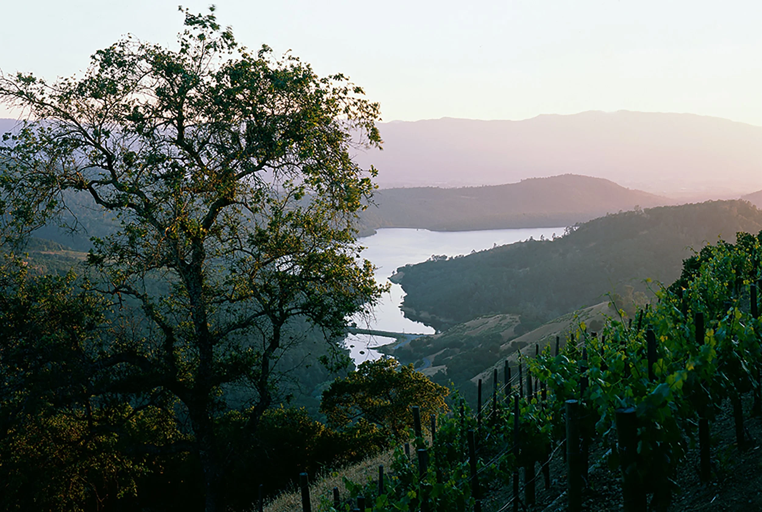 napa 01.JPG