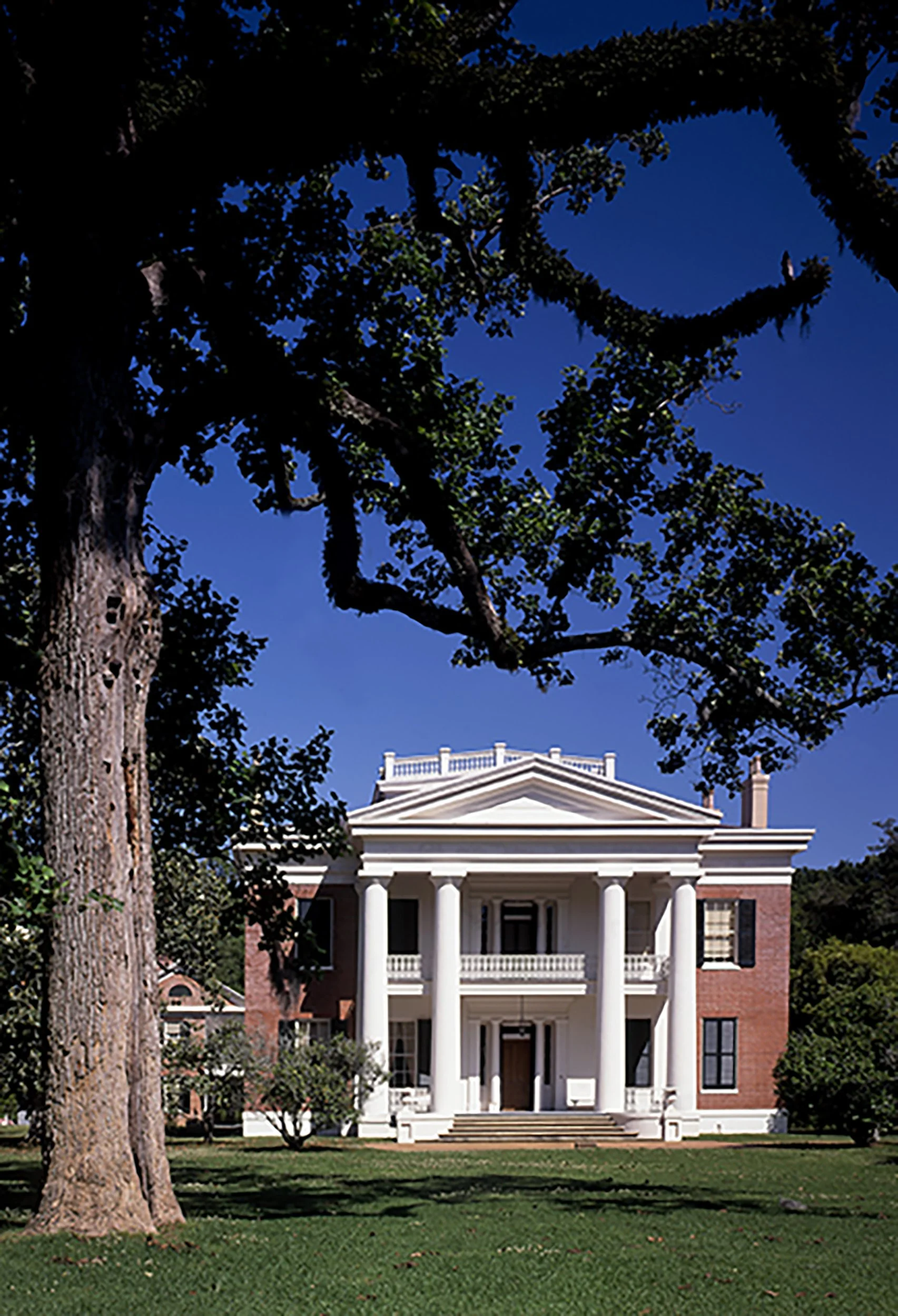 natchez010.JPG