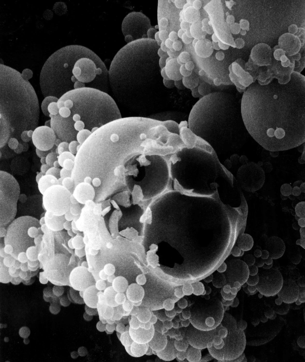 A scanning electron micrograph of a compartmentalized microsphere produced under prebiotic conditions