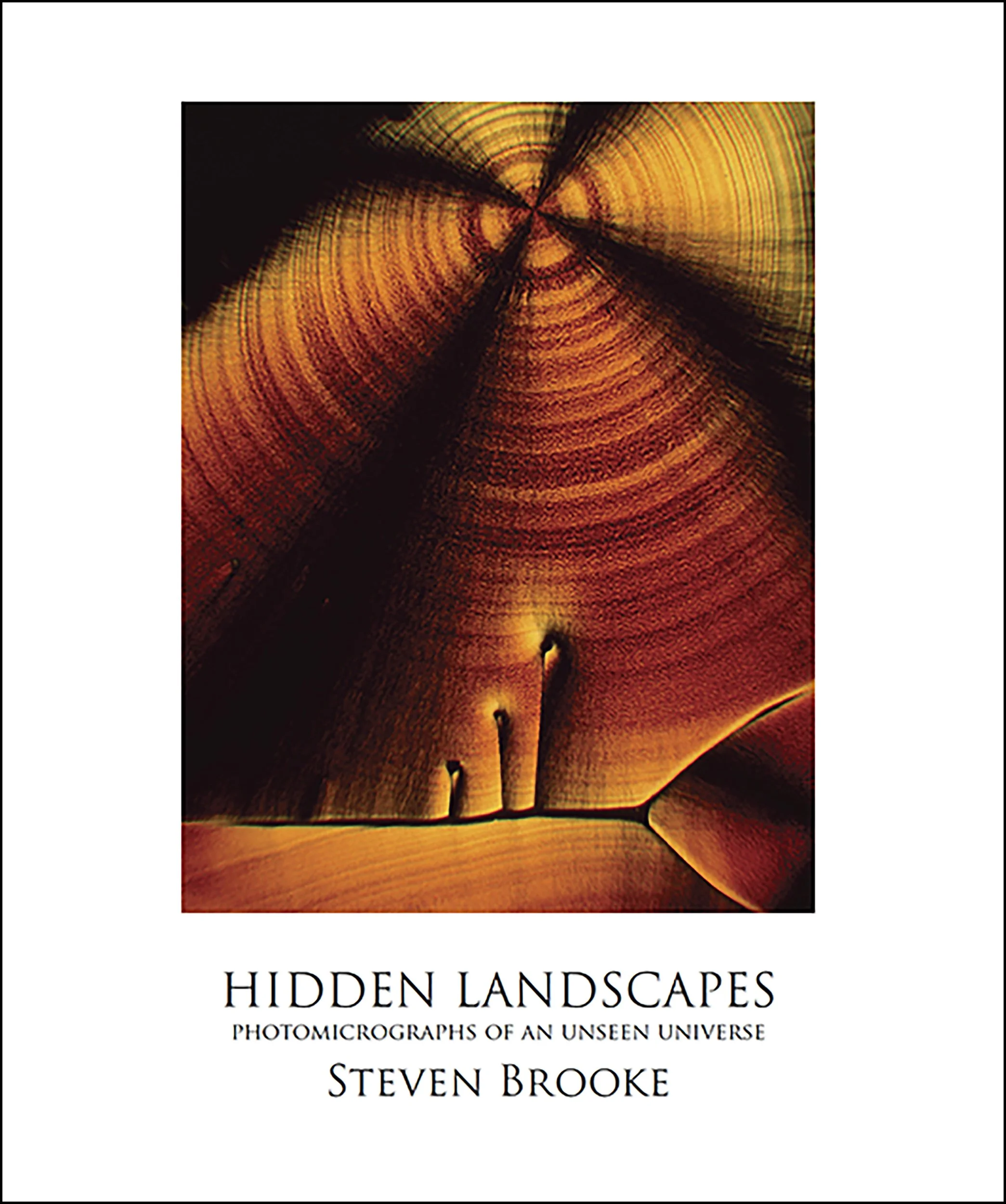 Cover of photographer Steven Brooke's book Hidden Landscapes Photomicrographs of an Unseen Universe