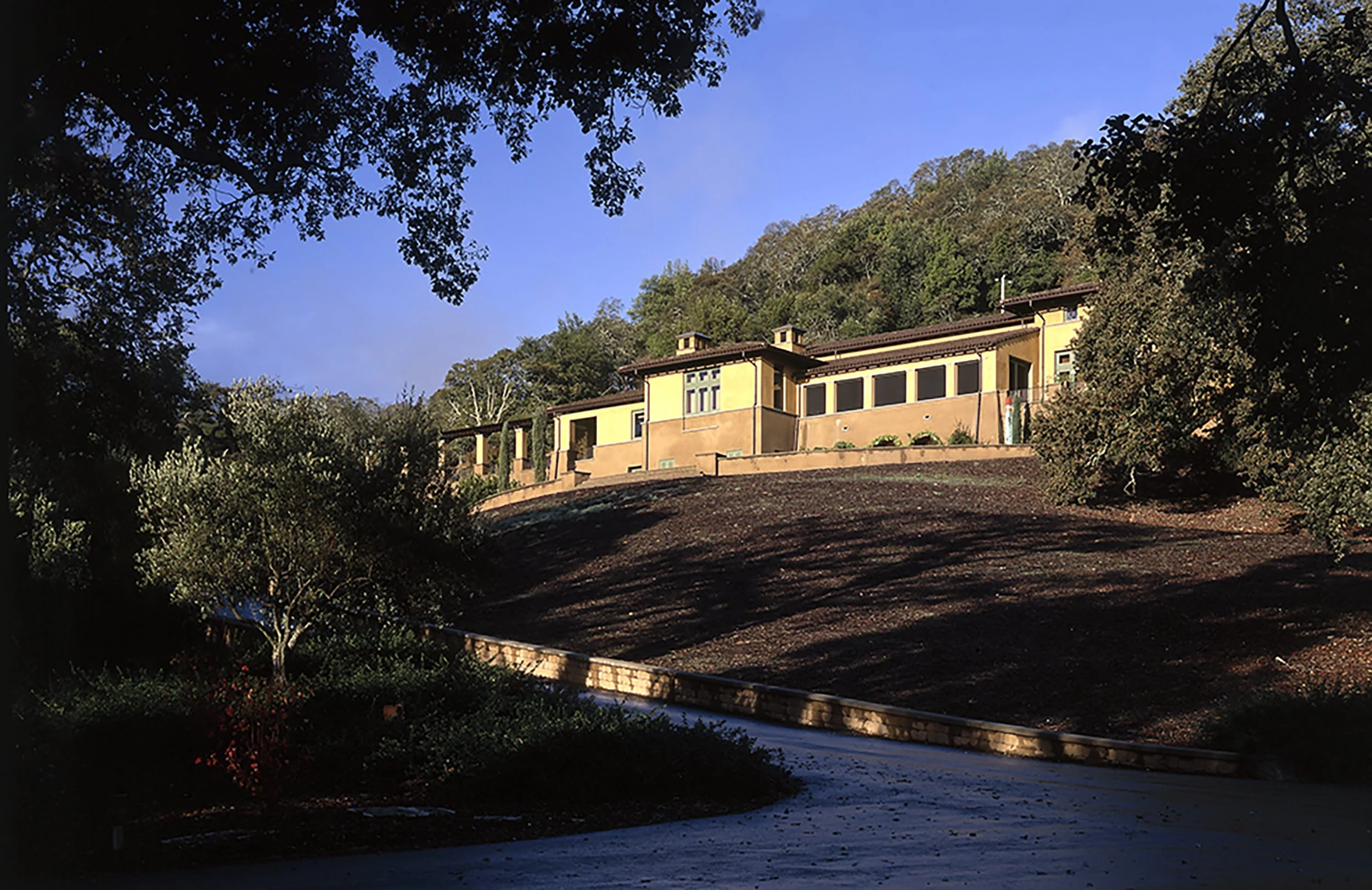 sonoma007.jpg