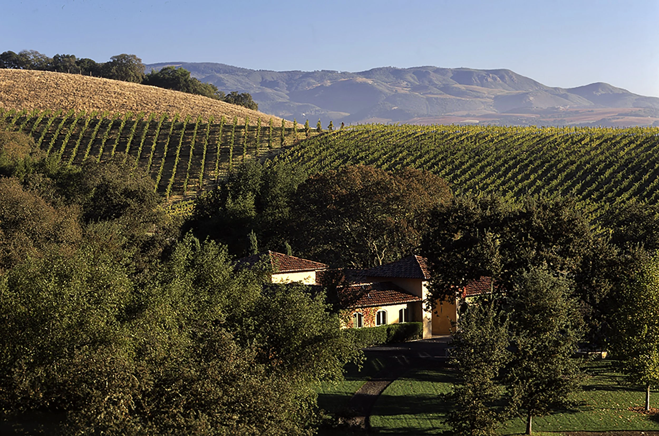 sonoma005 1.jpg