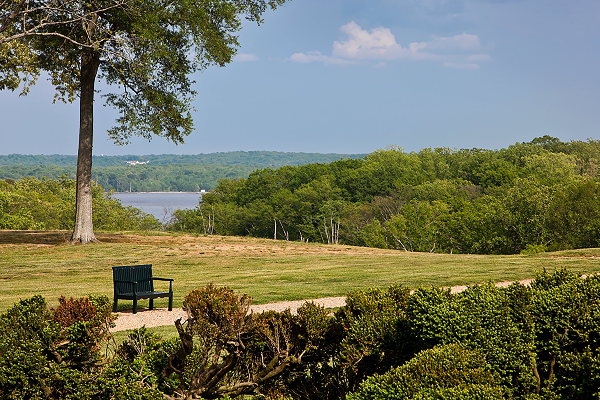 GH landscape_3149.JPG