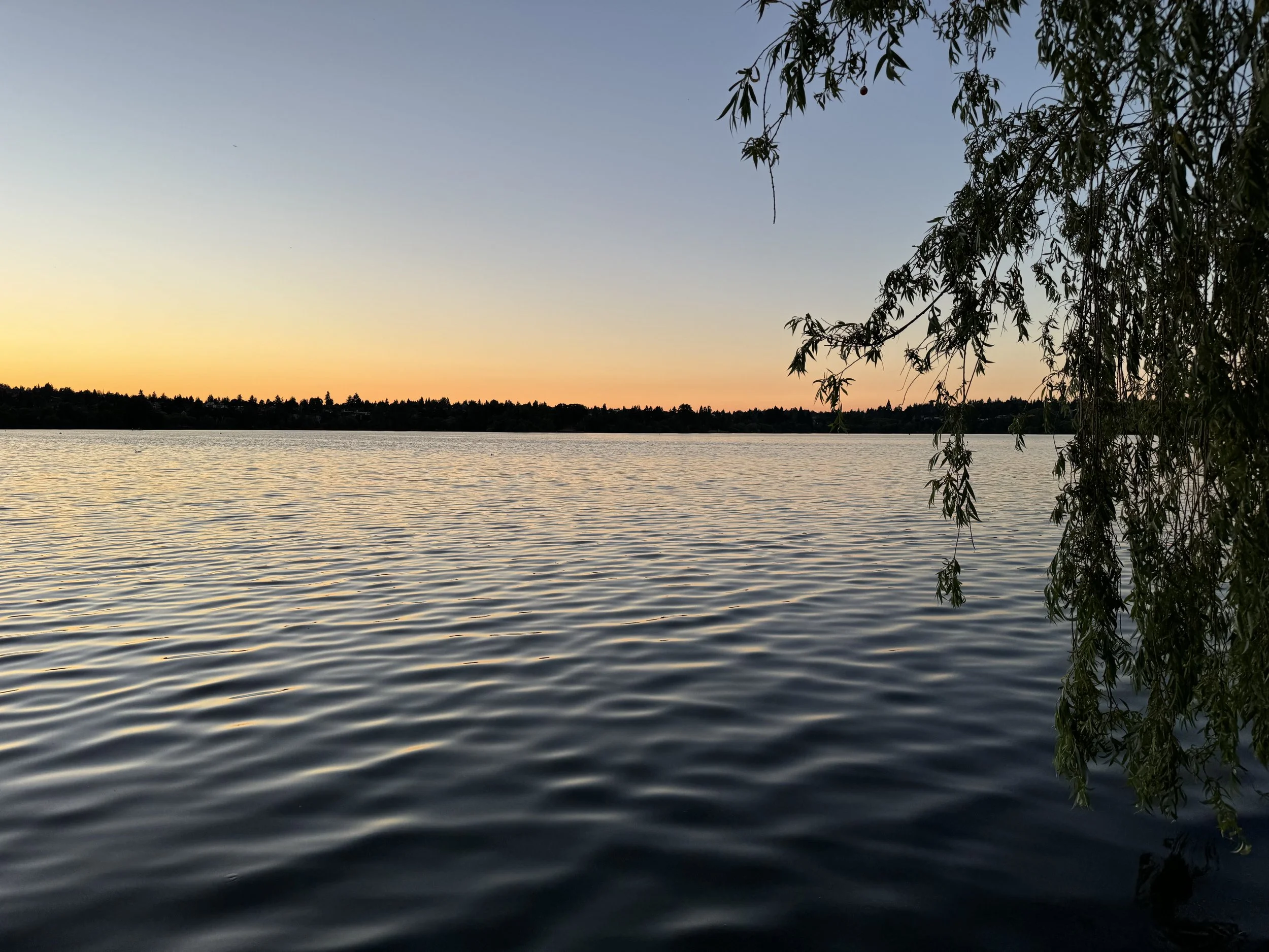 IMG_0525.jpeg