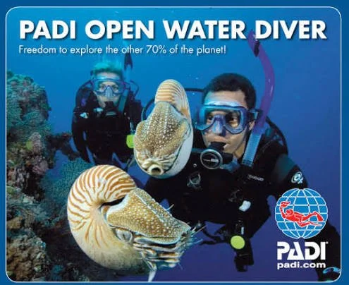 PADI Open Water Diver