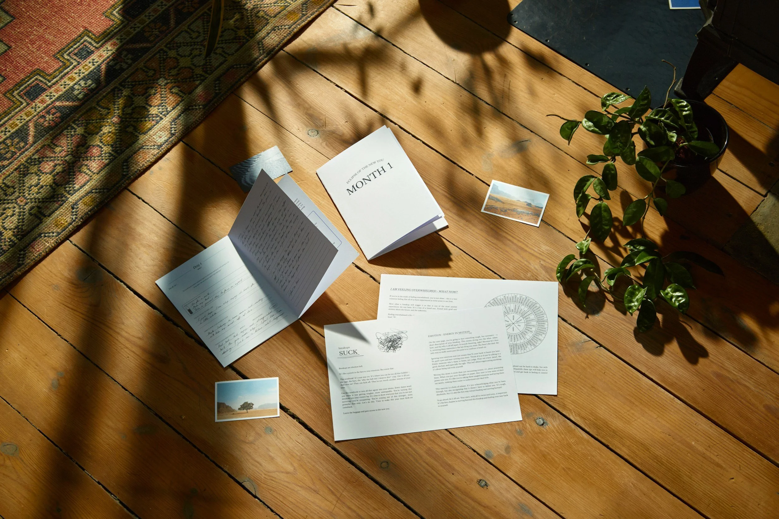 Planning materials and notes in a sunlit workspace.