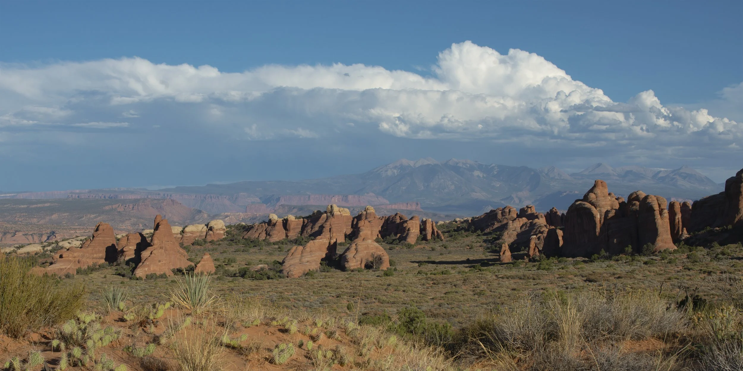 Dimensional Landscape