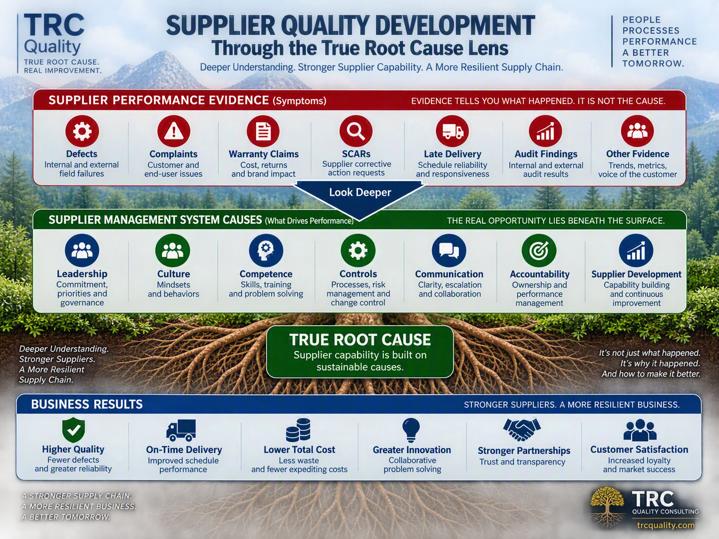 Supplier Quality Development infographic connecting supplier performance symptoms, management system causes, supplier capability, and business results.