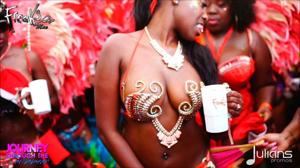 2015 Miami Carnival Highlights