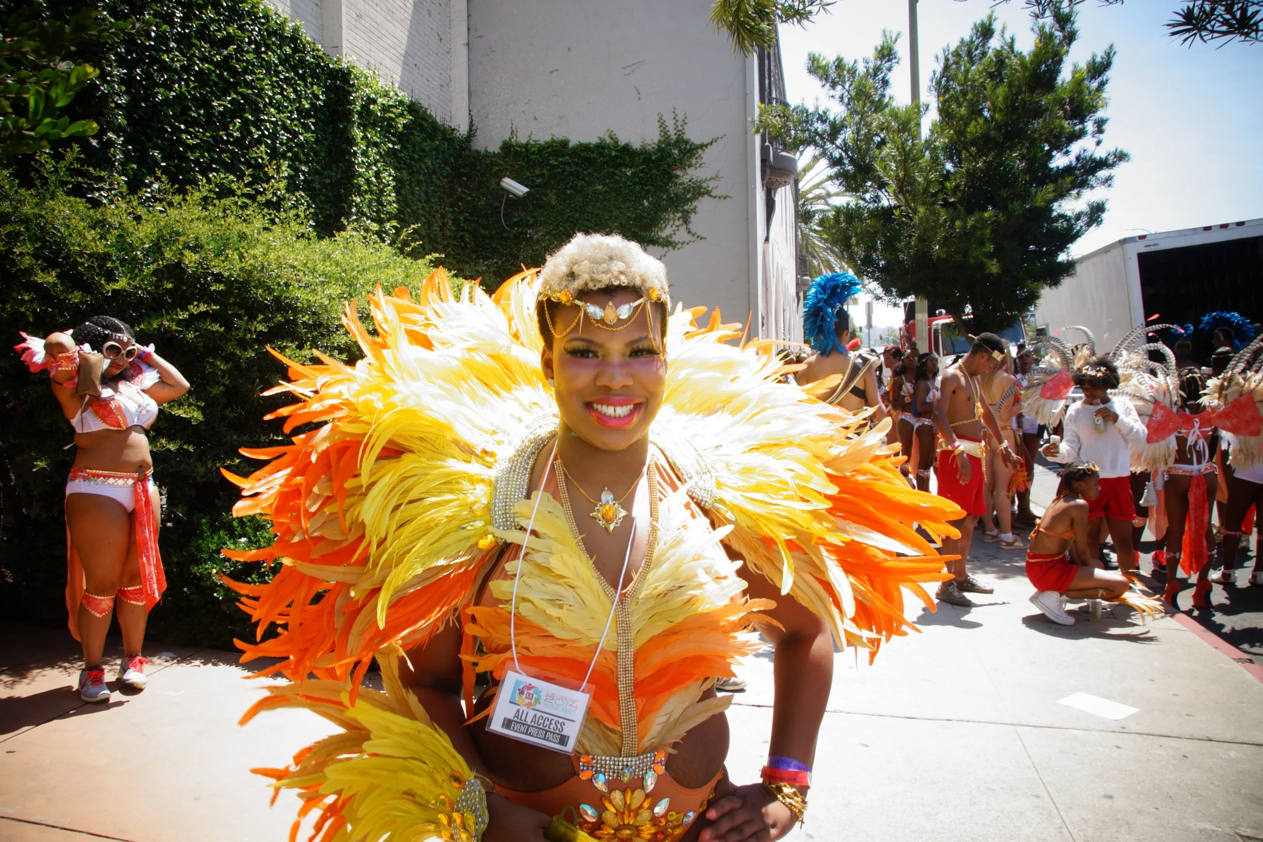2014 Hollywood Carnival (01).jpg
