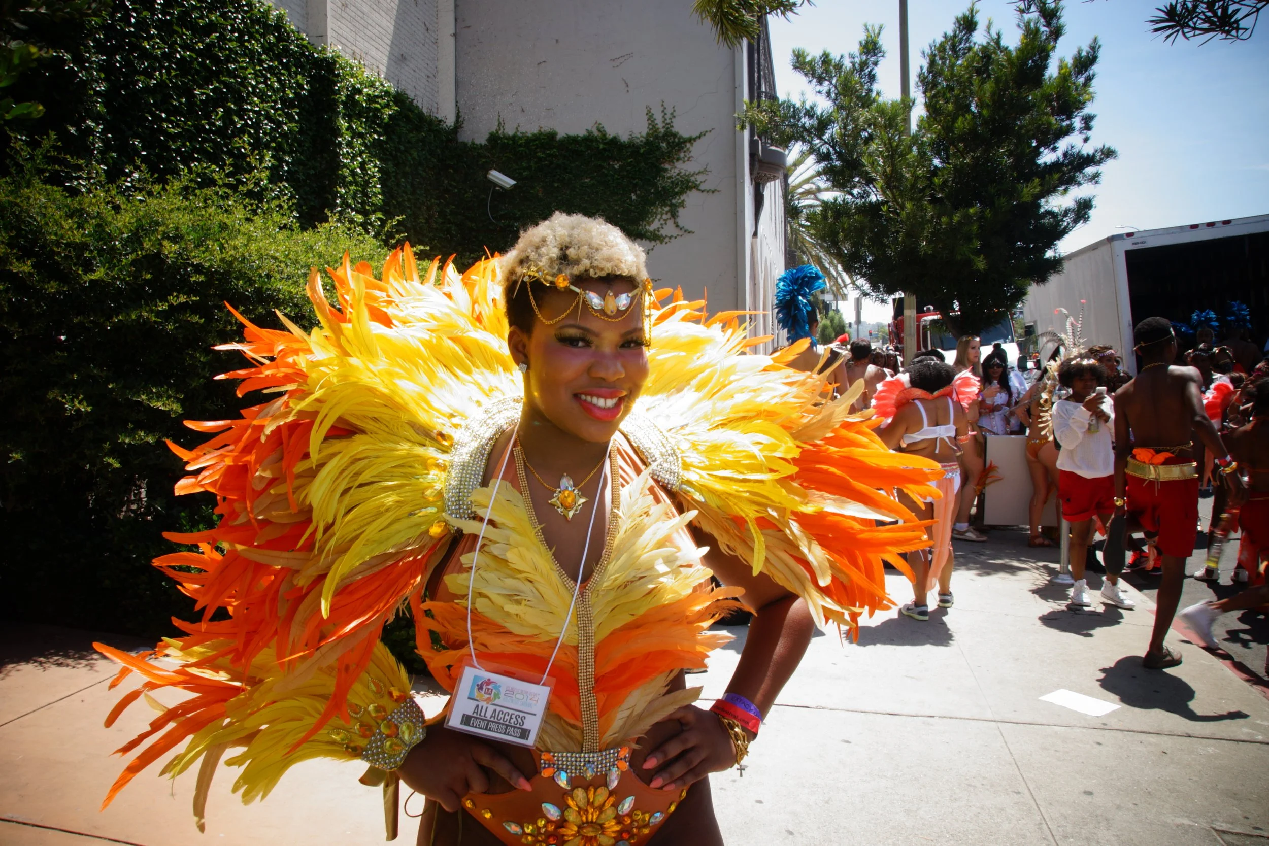 2014 Hollywood Carnival (03).jpg