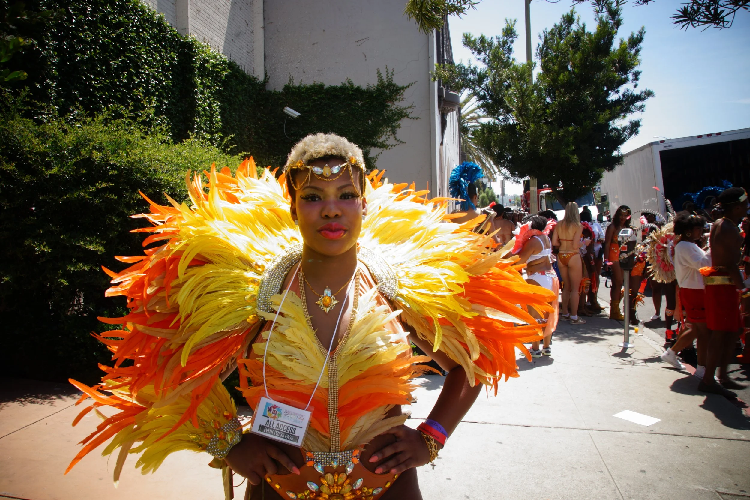 2014 Hollywood Carnival (04).jpg