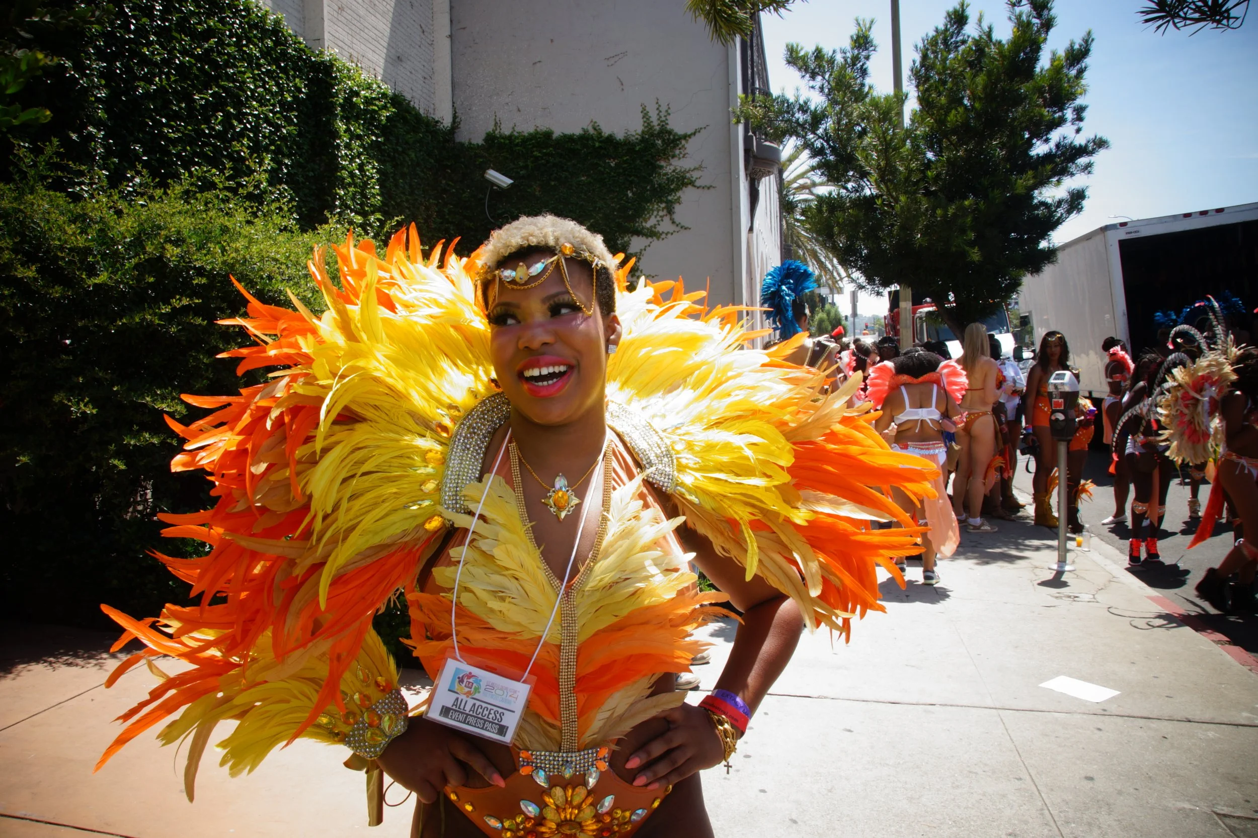 2014 Hollywood Carnival (05).jpg
