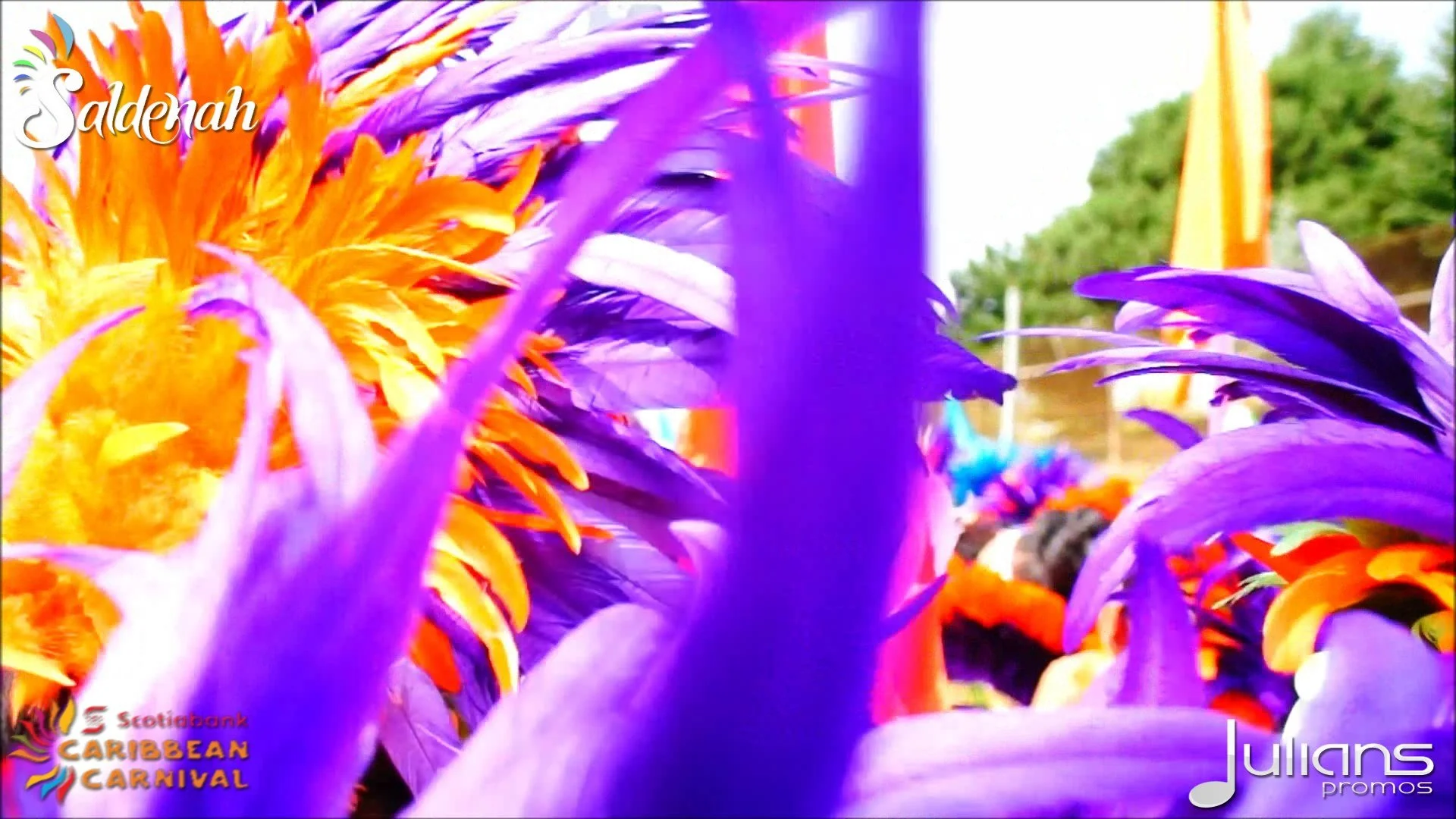 2015 Toronto Carnival (11).jpg