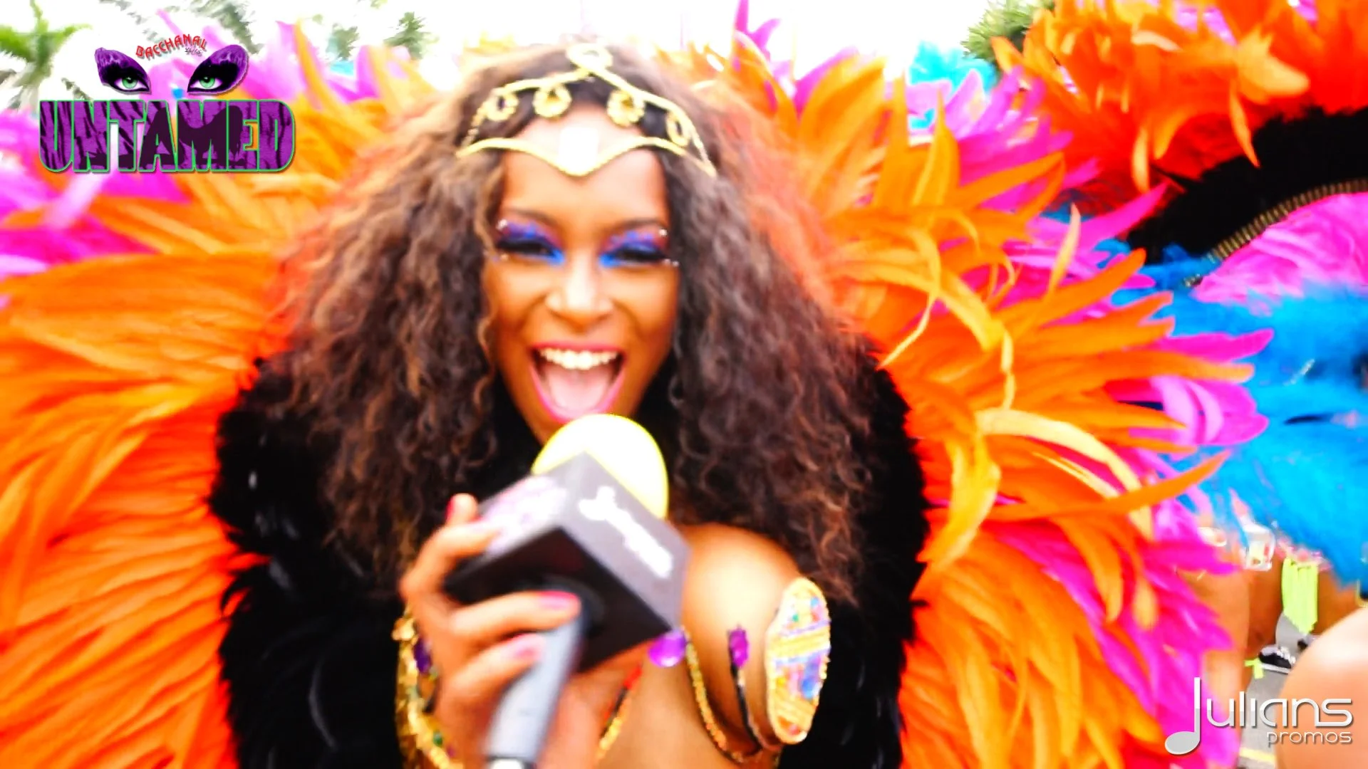 2015 Bacchanal Jamaica Carnival Highlights