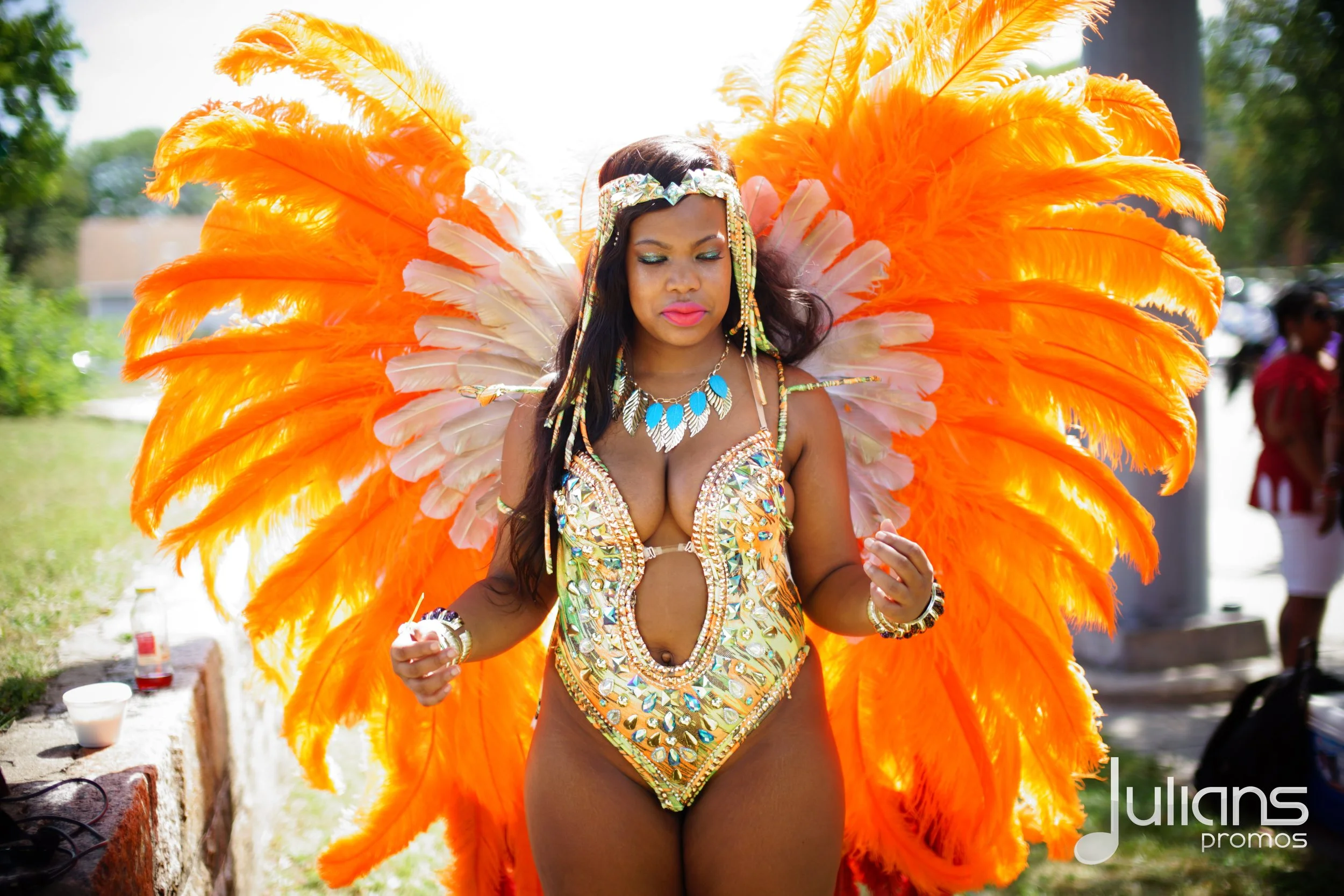 2015 Boston Carnival  - Logo (01).jpg