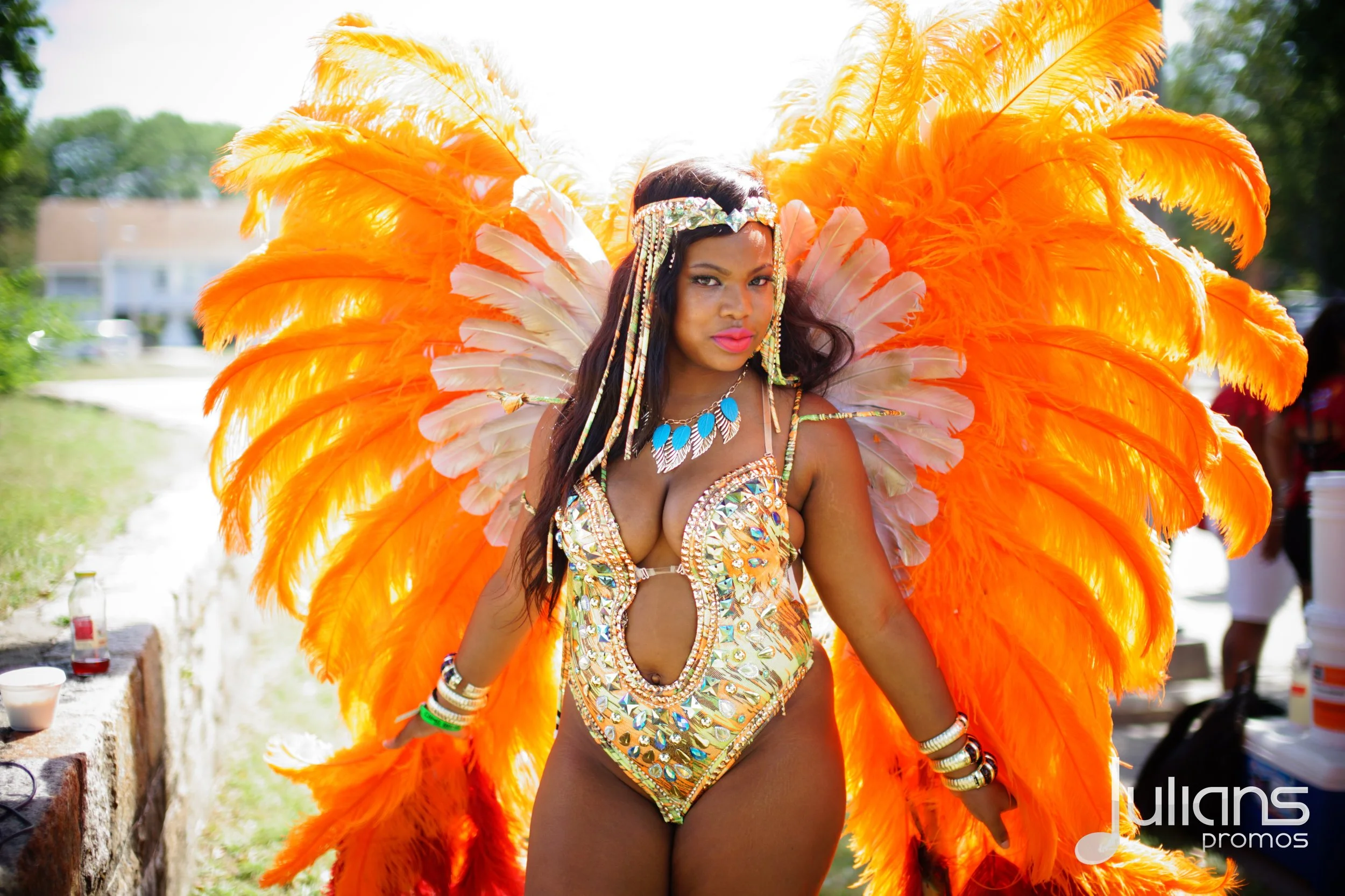 2015 Boston Carnival  - Logo (02).jpg