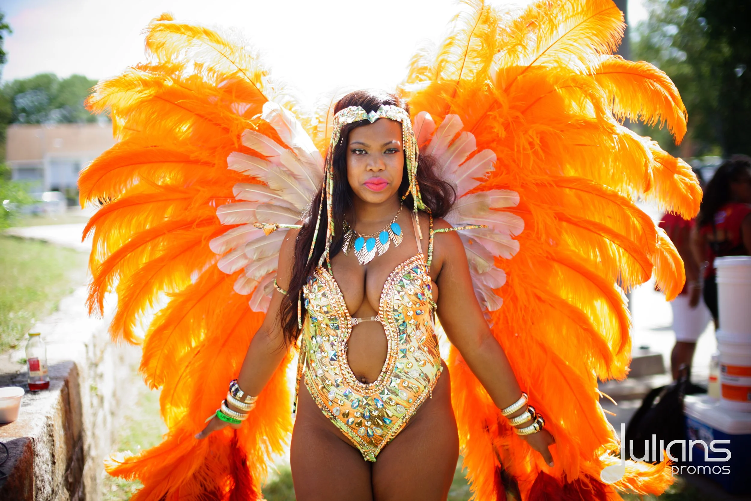 2015 Boston Carnival  - Logo (03).jpg