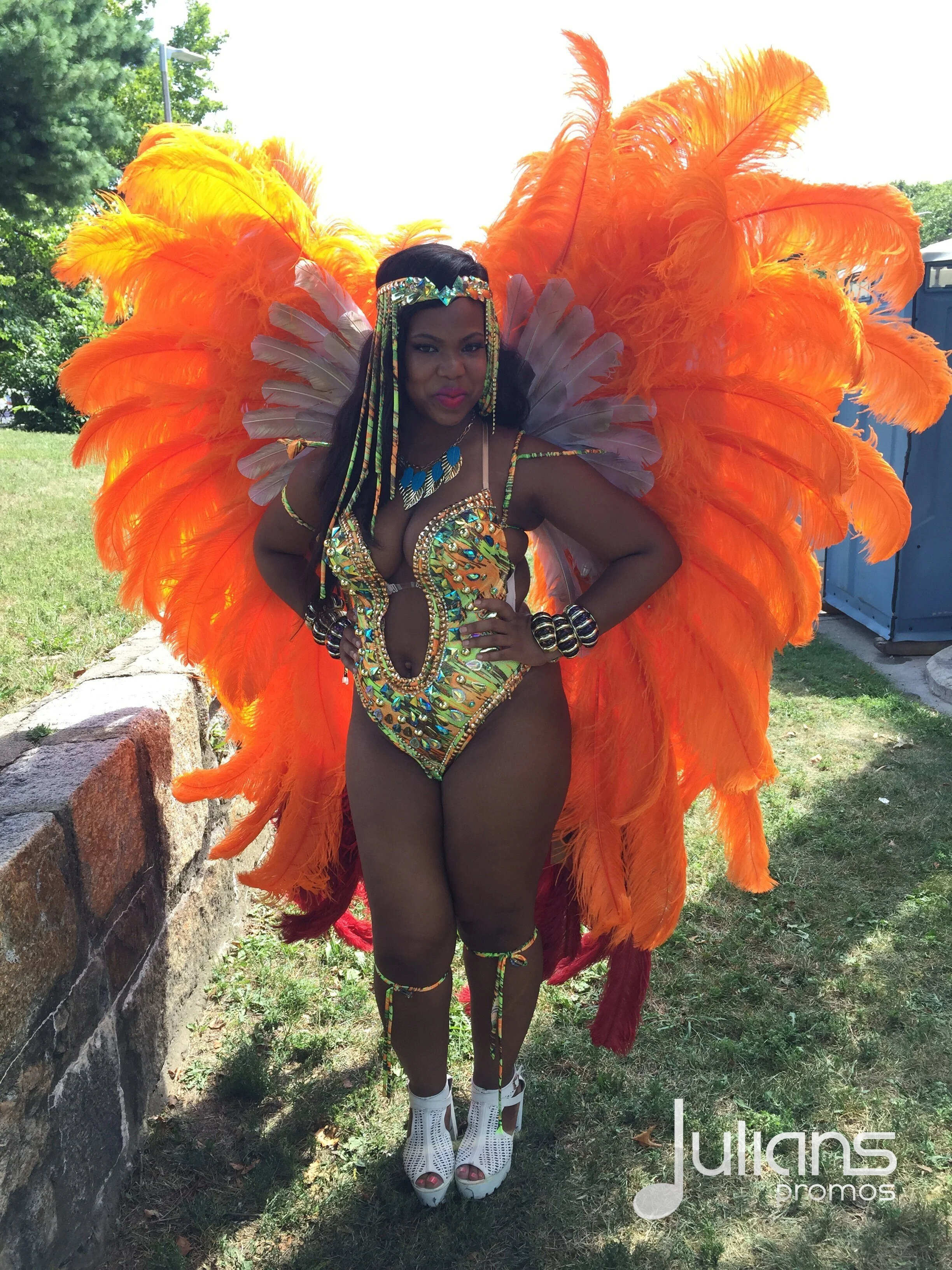 2015 Boston Carnival  - LOGO (07).jpg