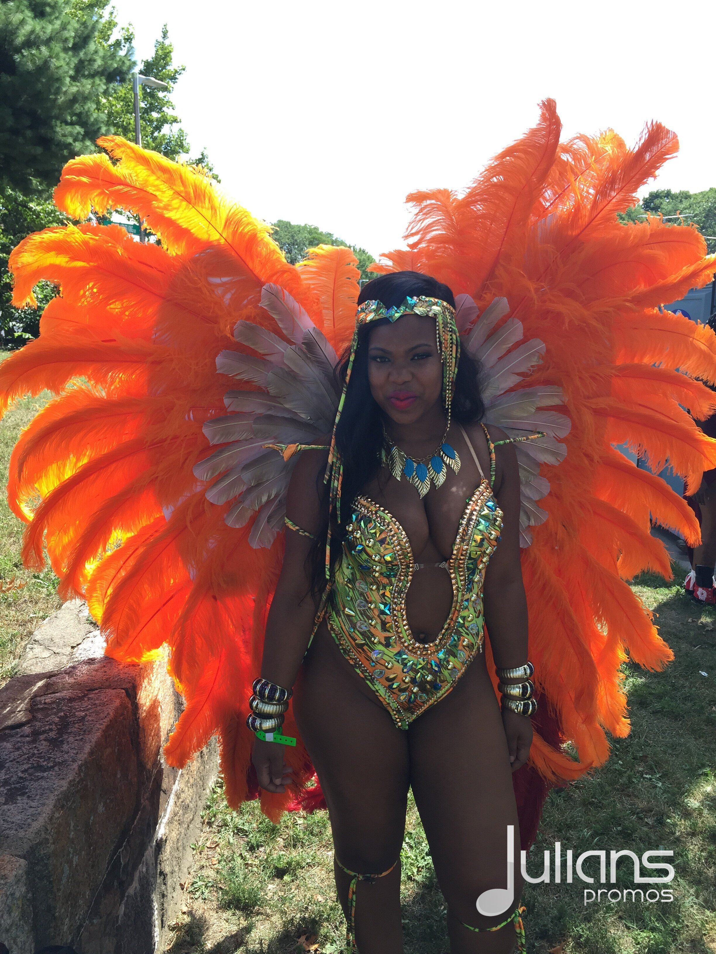 2015 Boston Carnival  - LOGO (09).jpg